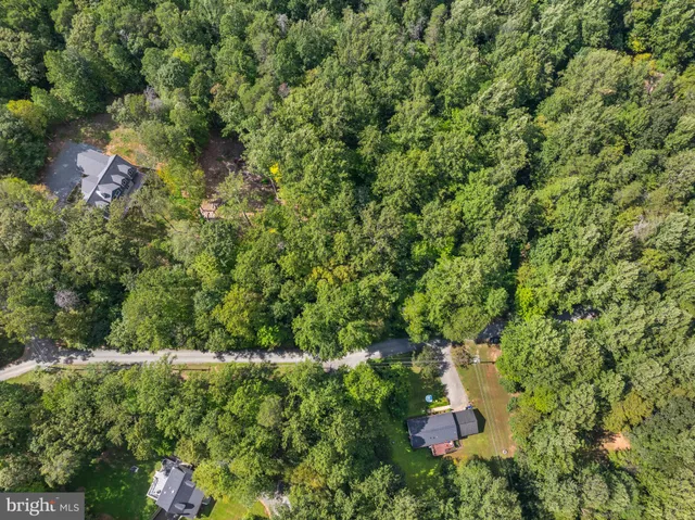 a view of a tree with a tree