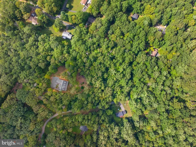 a view of a plant in a garden