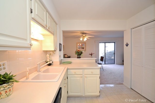 236 East Rimini Court Palatine, IL 60067 - Photo 4 of 16