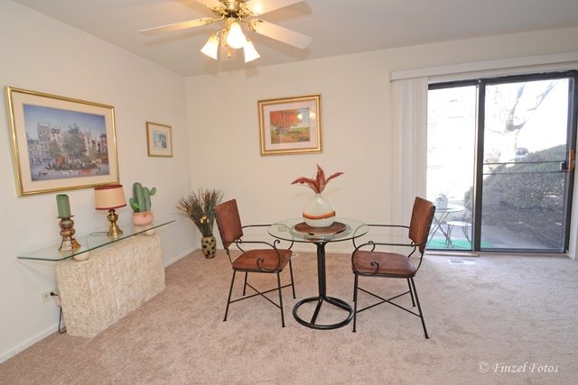 236 East Rimini Court Palatine, IL 60067 - Photo 5 of 16