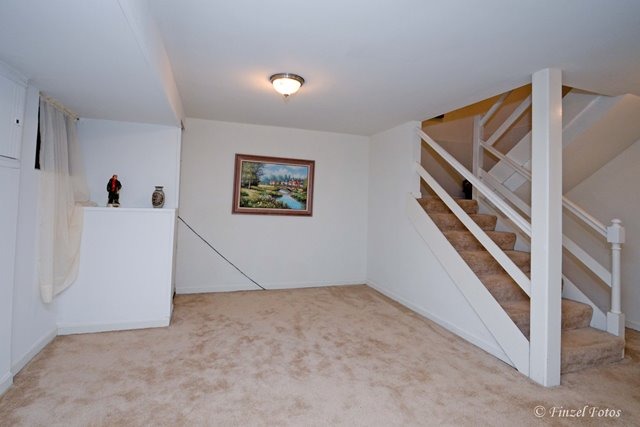 236 East Rimini Court Palatine, IL 60067 - Photo 8 of 16