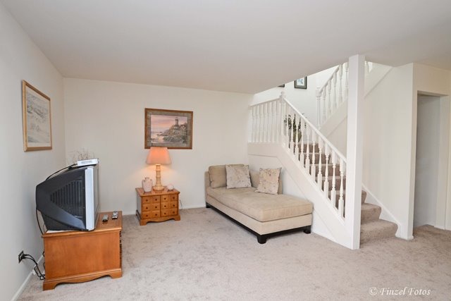 236 East Rimini Court Palatine, IL 60067 - Photo 9 of 16