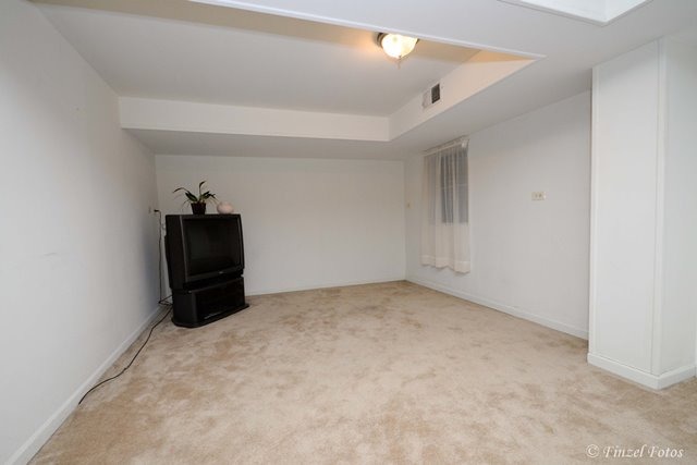 236 East Rimini Court Palatine, IL 60067 - Photo 10 of 16