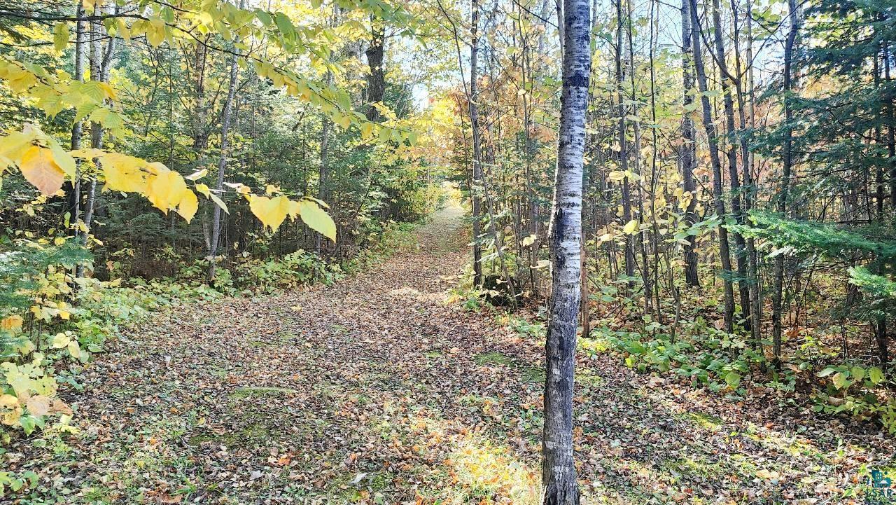 11873 Nett Lake Road Orr, MN 55771 - Photo 7 of 35 Gallery Image 7