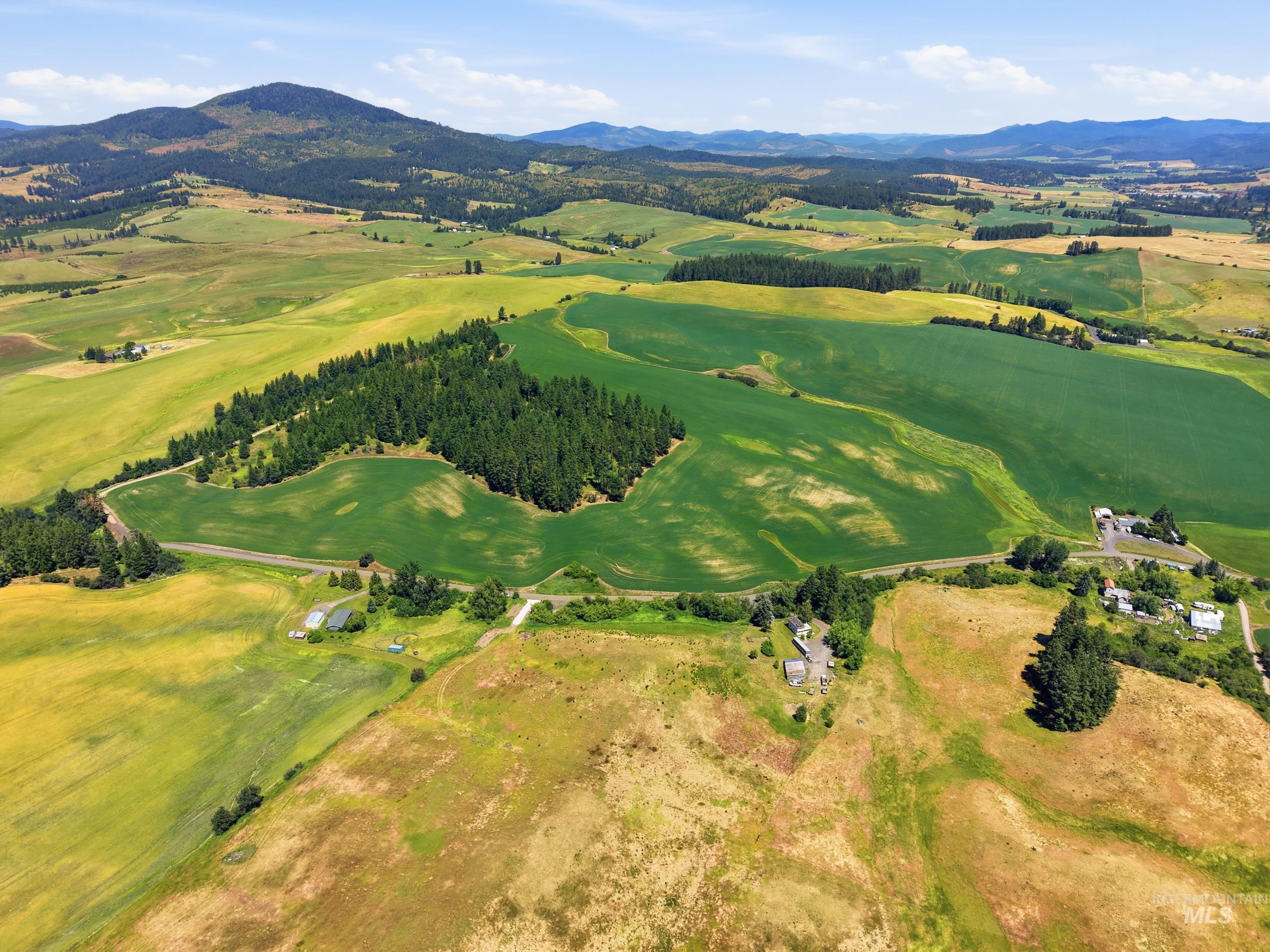 Tbd Reynolds Road Princeton, ID 83857 - Photo 8 of 11