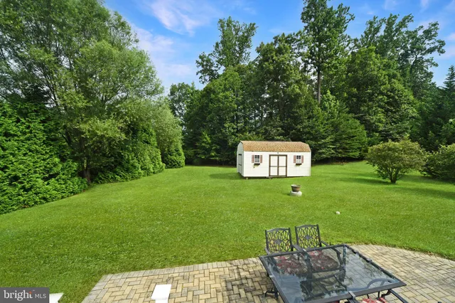 a view of a park with a trees