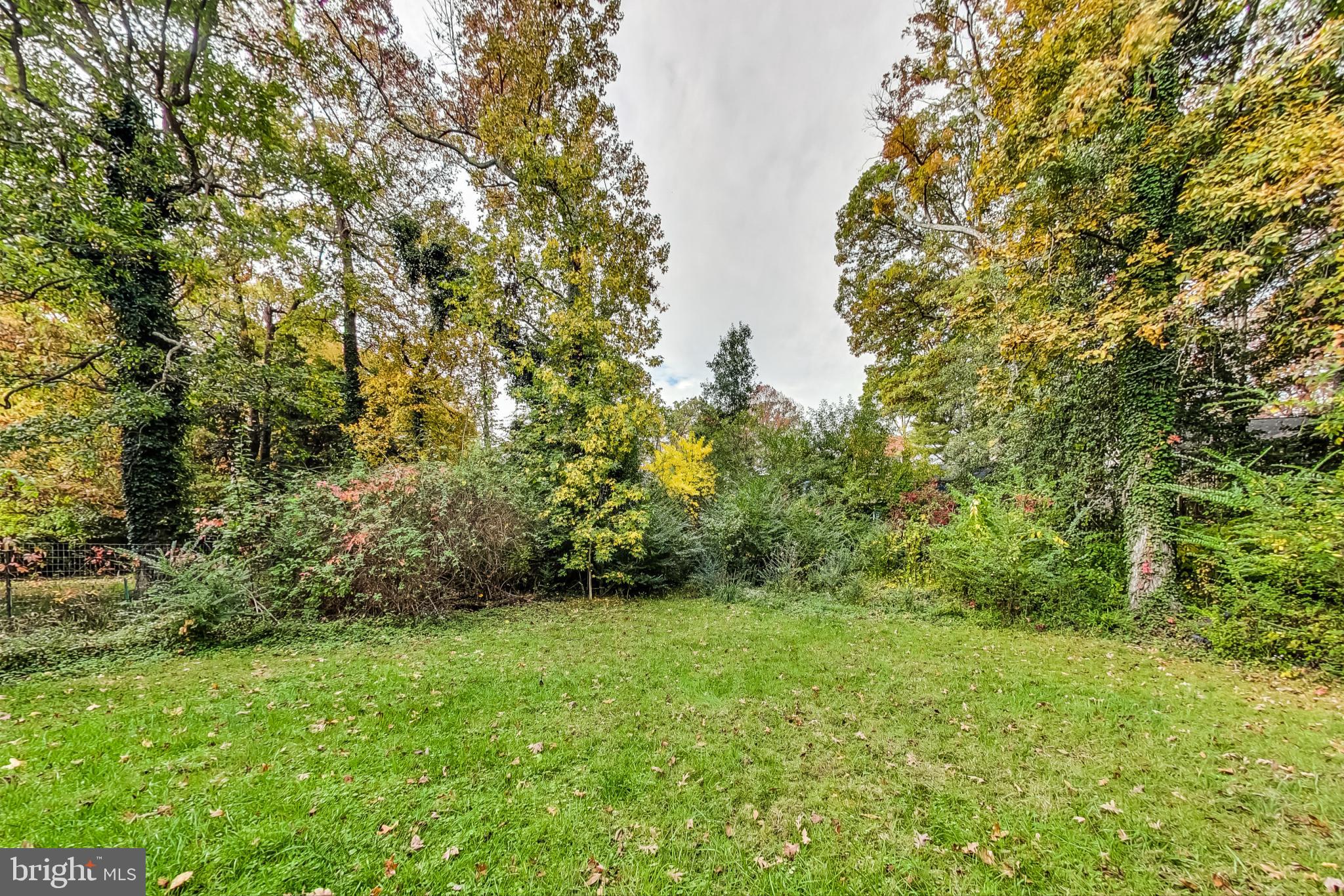 412 Walnut Drive Annapolis, MD 21403 - Photo 37 of 42 a view of a yard with a tree