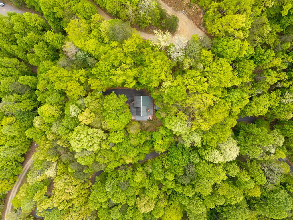 176 New Castle Road Murphy, NC 28906 - Photo 43 of 49