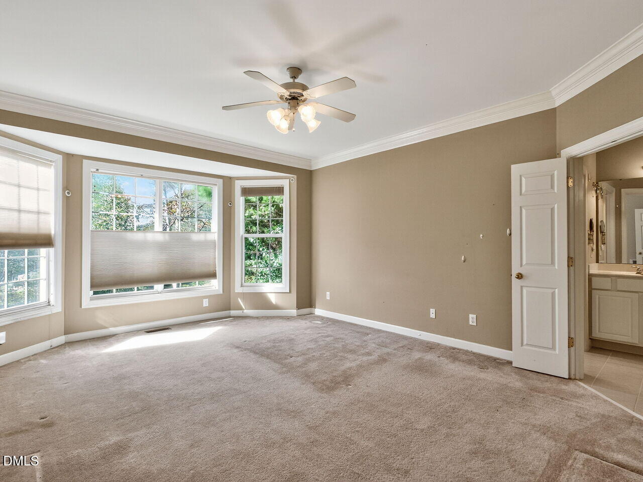101 Fringe Tree Court Cary, NC 27519 - Photo 19 of 40 Main Level Primary Bedroom