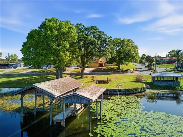 a view of a swimming pool with lawn chairs and plants