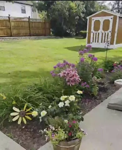 a view of a garden with flower plants