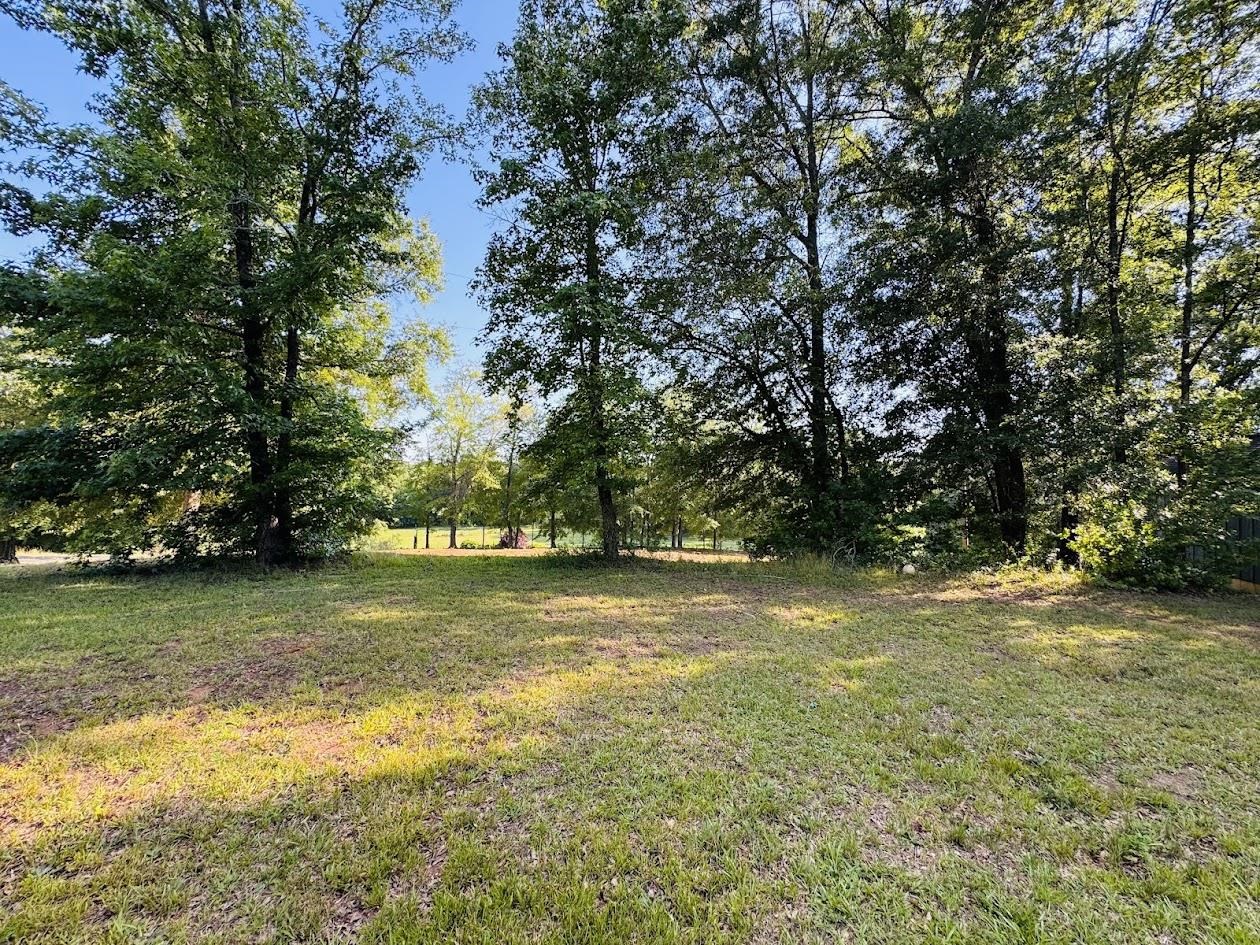 1770 Fish Camp Road Chesnee, SC 29323 - Photo 3 of 7