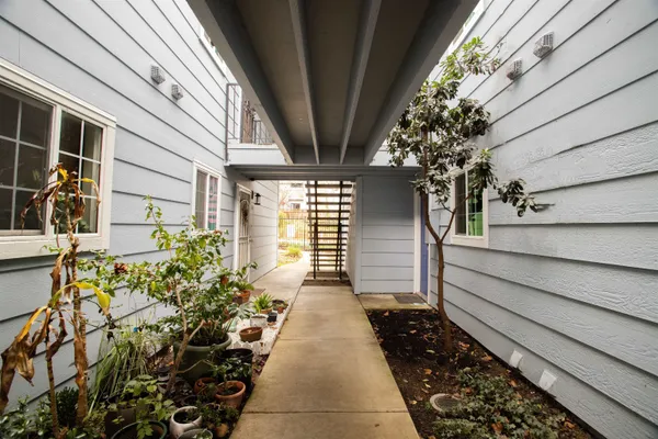 a view of a pathway with flower pots