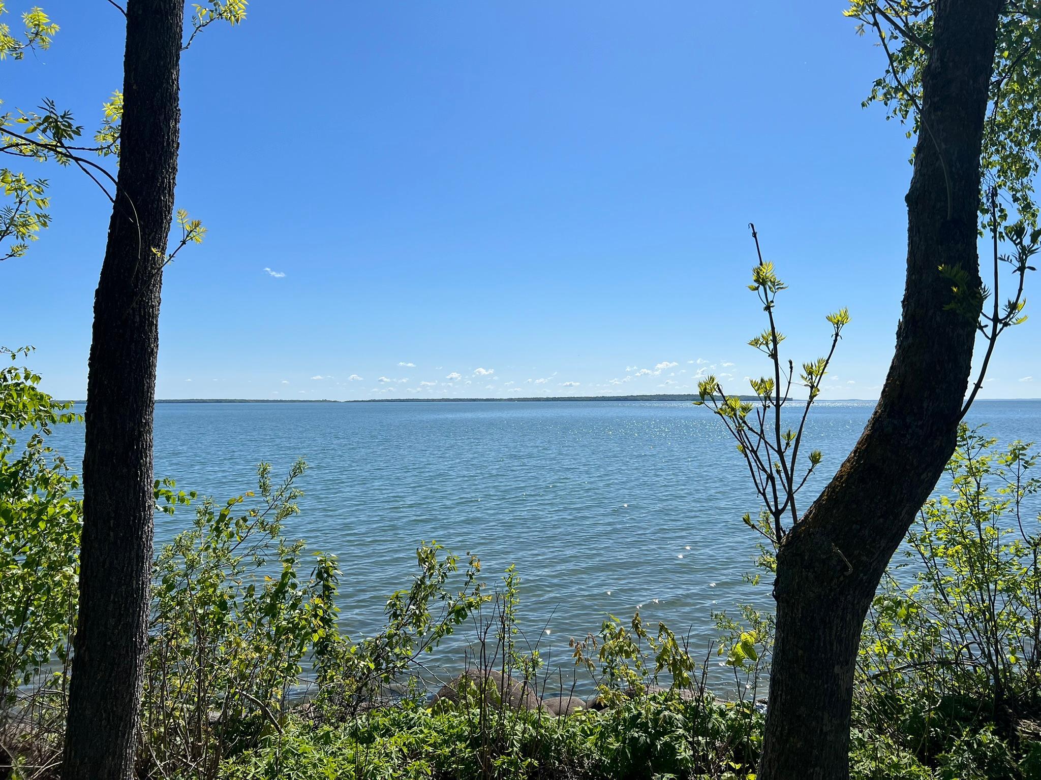 Tbd Camper Landing Road Northwest Cass Lake, MN 56633 - Photo 5 of 11