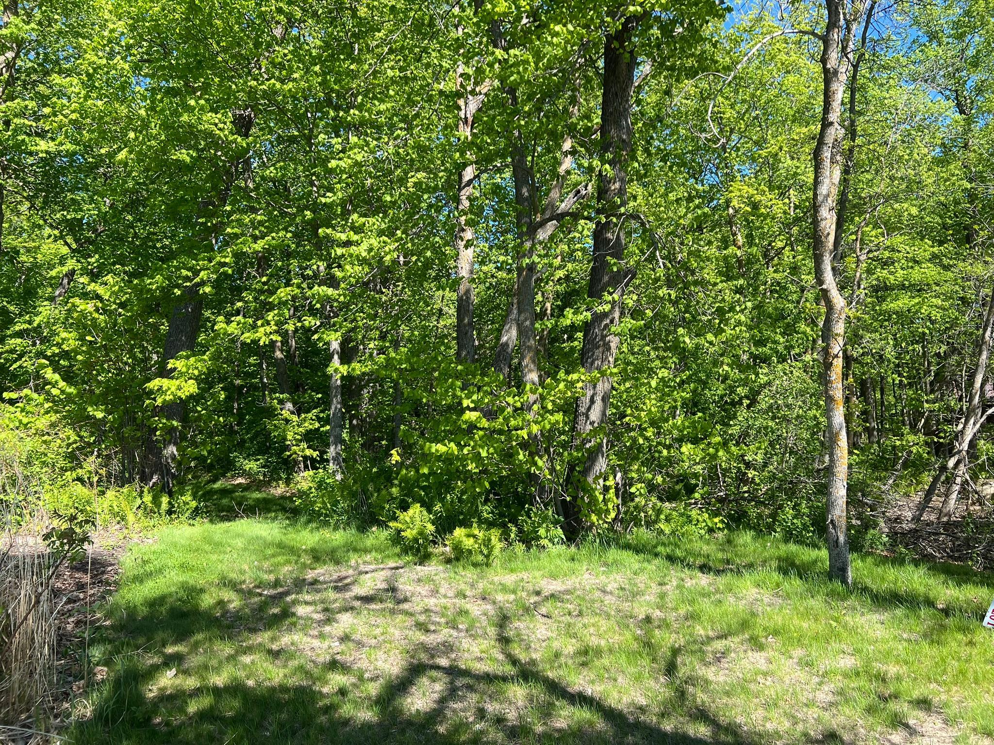 Tbd Camper Landing Road Northwest Cass Lake, MN 56633 - Photo 7 of 11