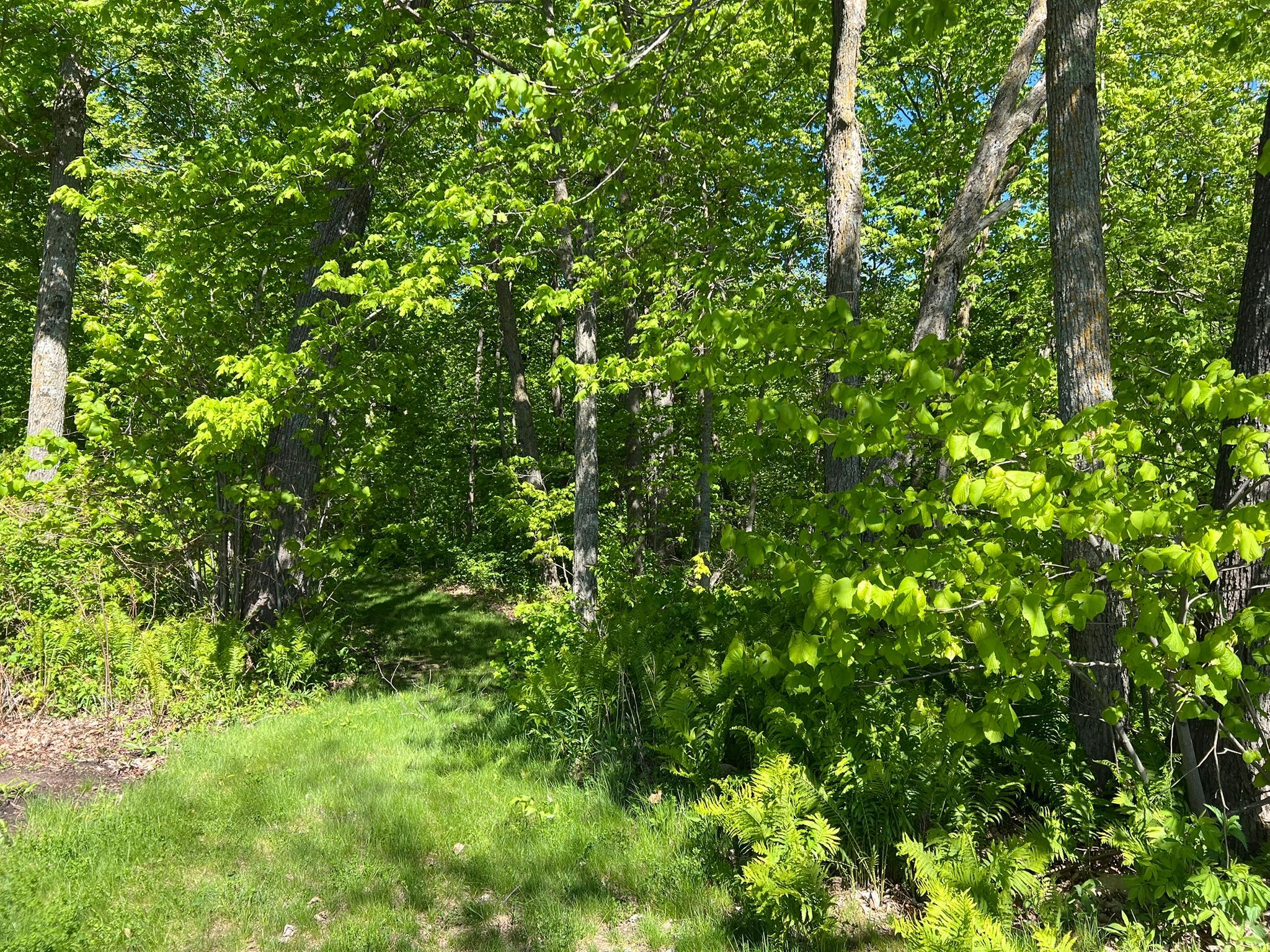 Tbd Camper Landing Road Northwest Cass Lake, MN 56633 - Photo 8 of 11