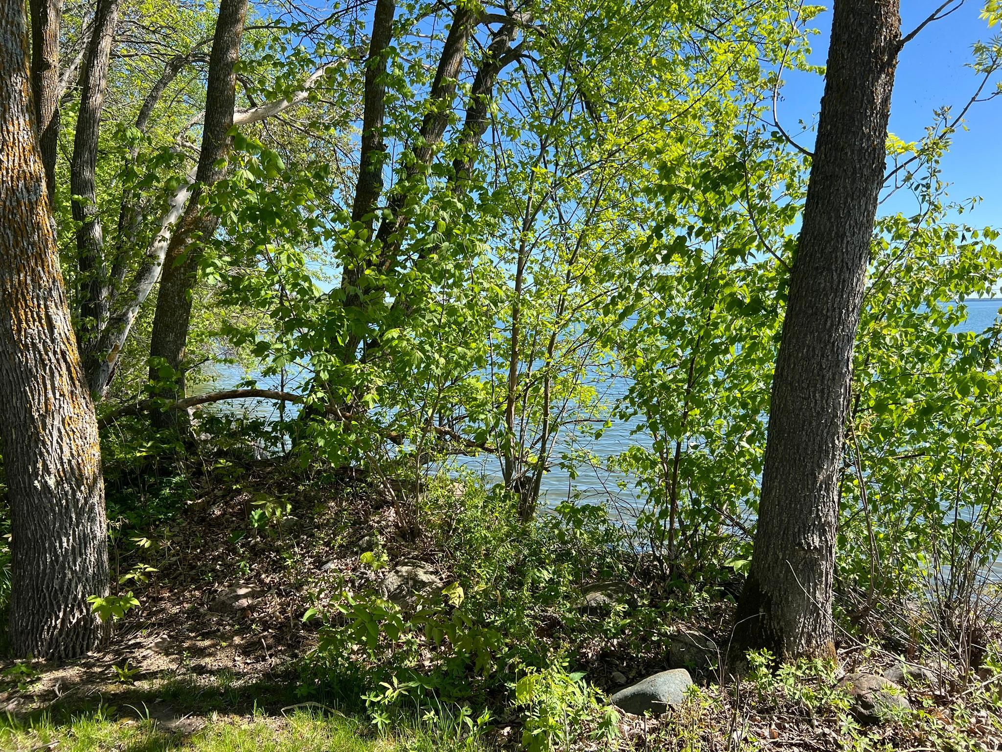 Tbd Camper Landing Road Northwest Cass Lake, MN 56633 - Photo 9 of 11