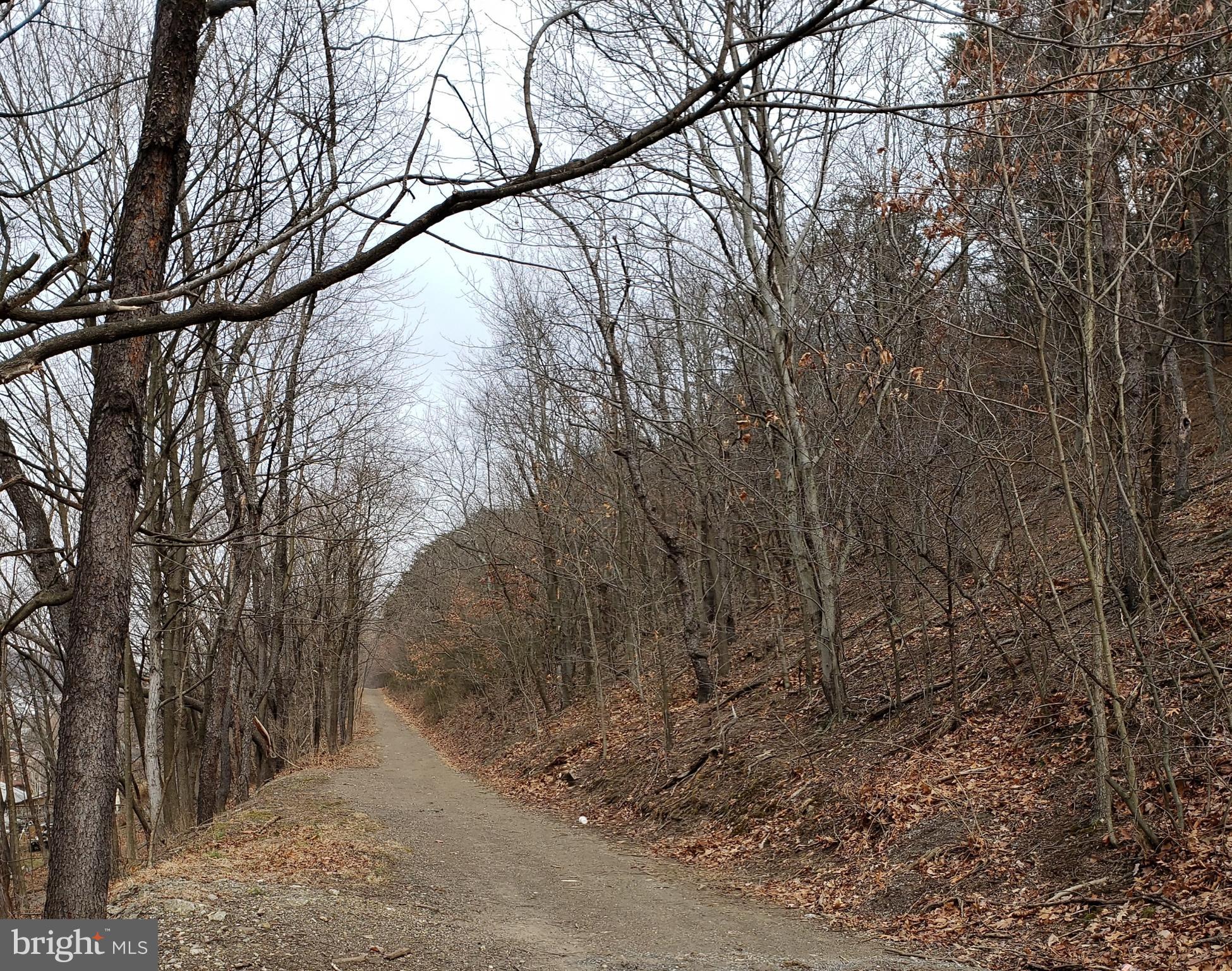 406 Davidson Street Cumberland, MD 21502 - Photo 35 of 36