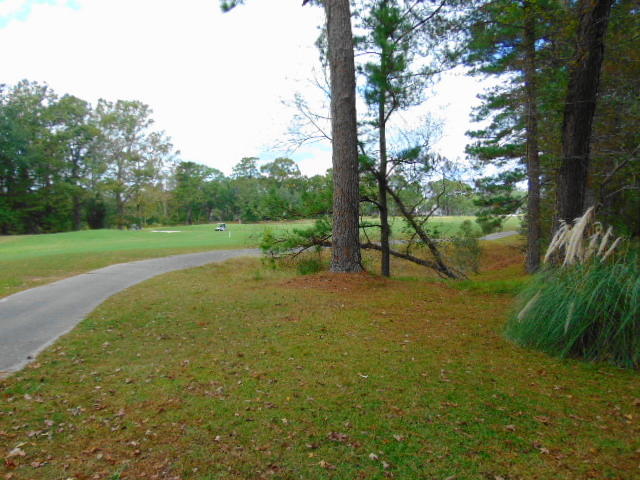 4020 Plantation House Road Summerville, SC 29485 - Photo 36 of 60 LOOKING TOWARD CLUBHOUSE