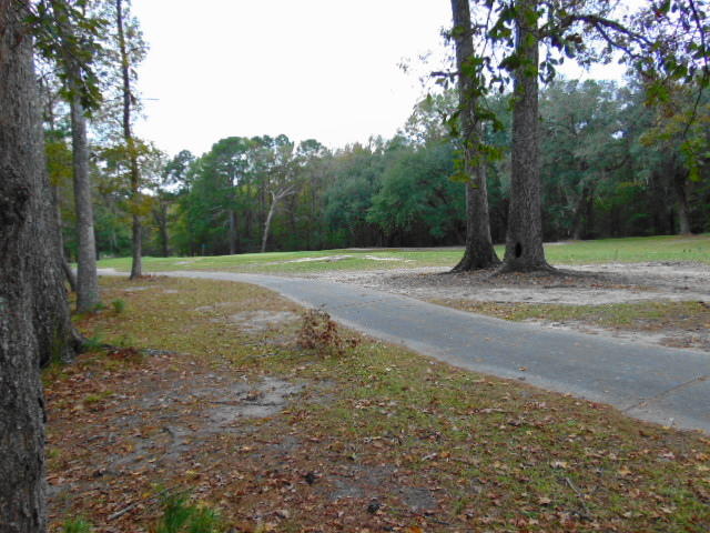 4020 Plantation House Road Summerville, SC 29485 - Photo 37 of 60 LOOKING TOWARD NUMBER 1 GREEN