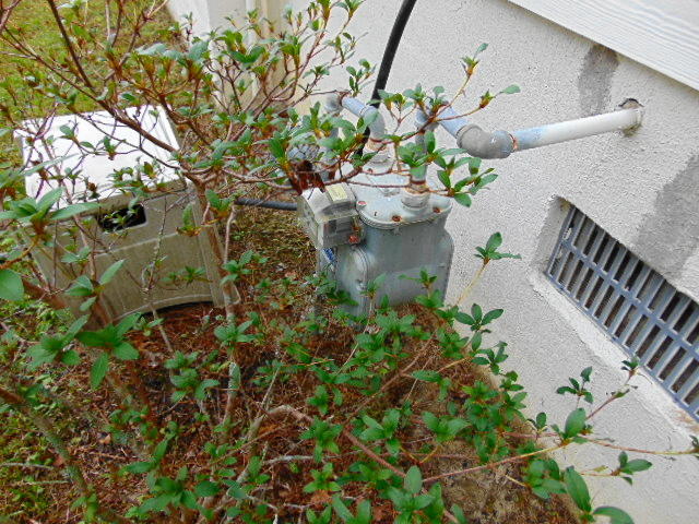 4020 Plantation House Road Summerville, SC 29485 - Photo 50 of 60 EFFICIENT NAT GAS