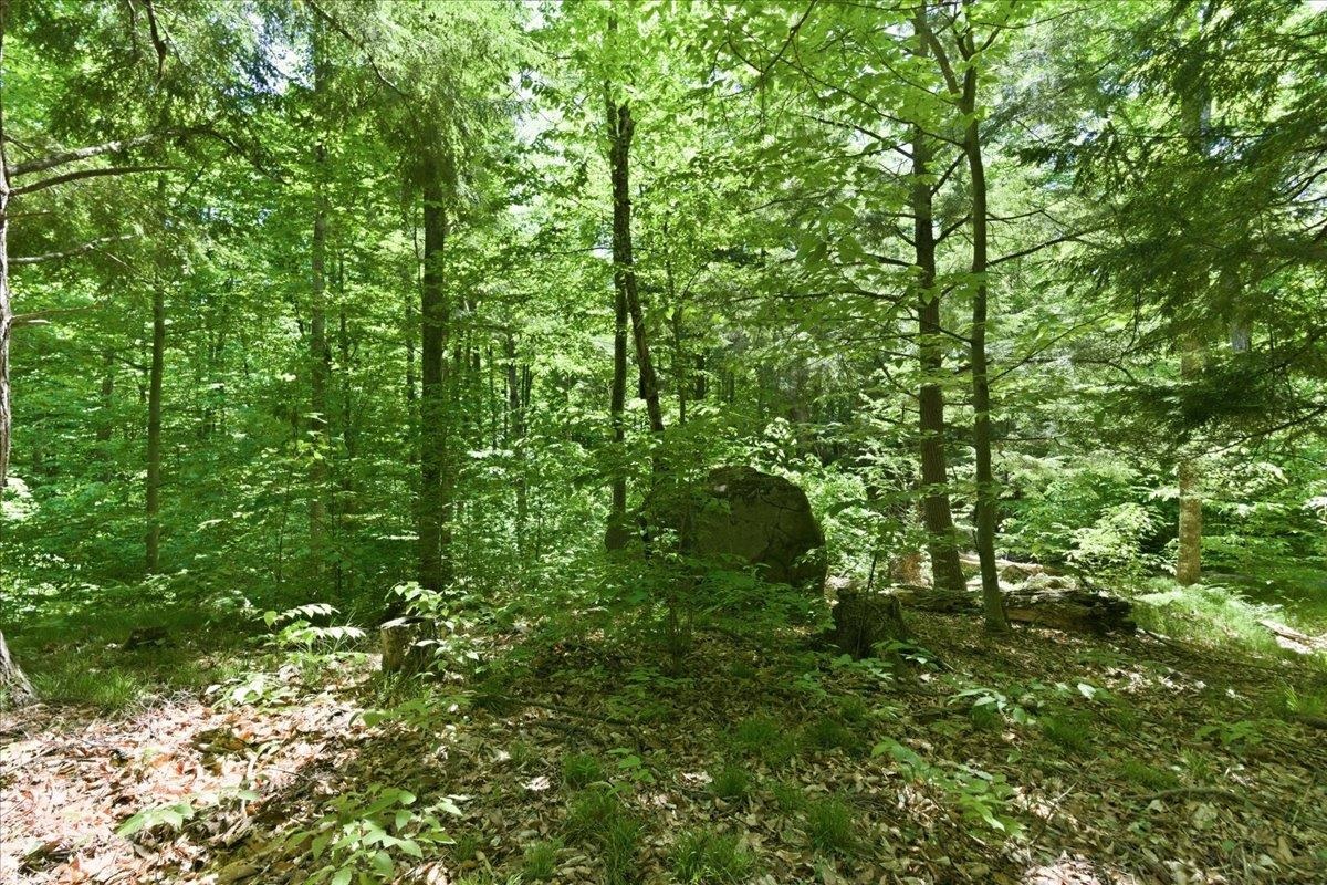 14754 North McComb Lake Road Mountain, WI 54149 - Photo 59 of 82