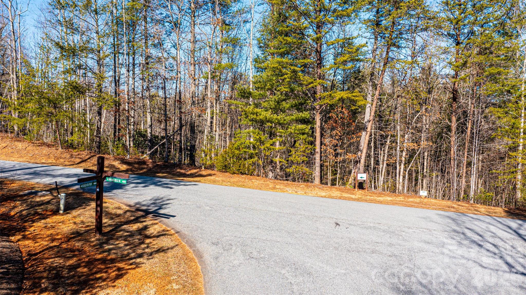 4420 Walnut Ridge Drive Lenoir, NC 28645 - Photo 6 of 32