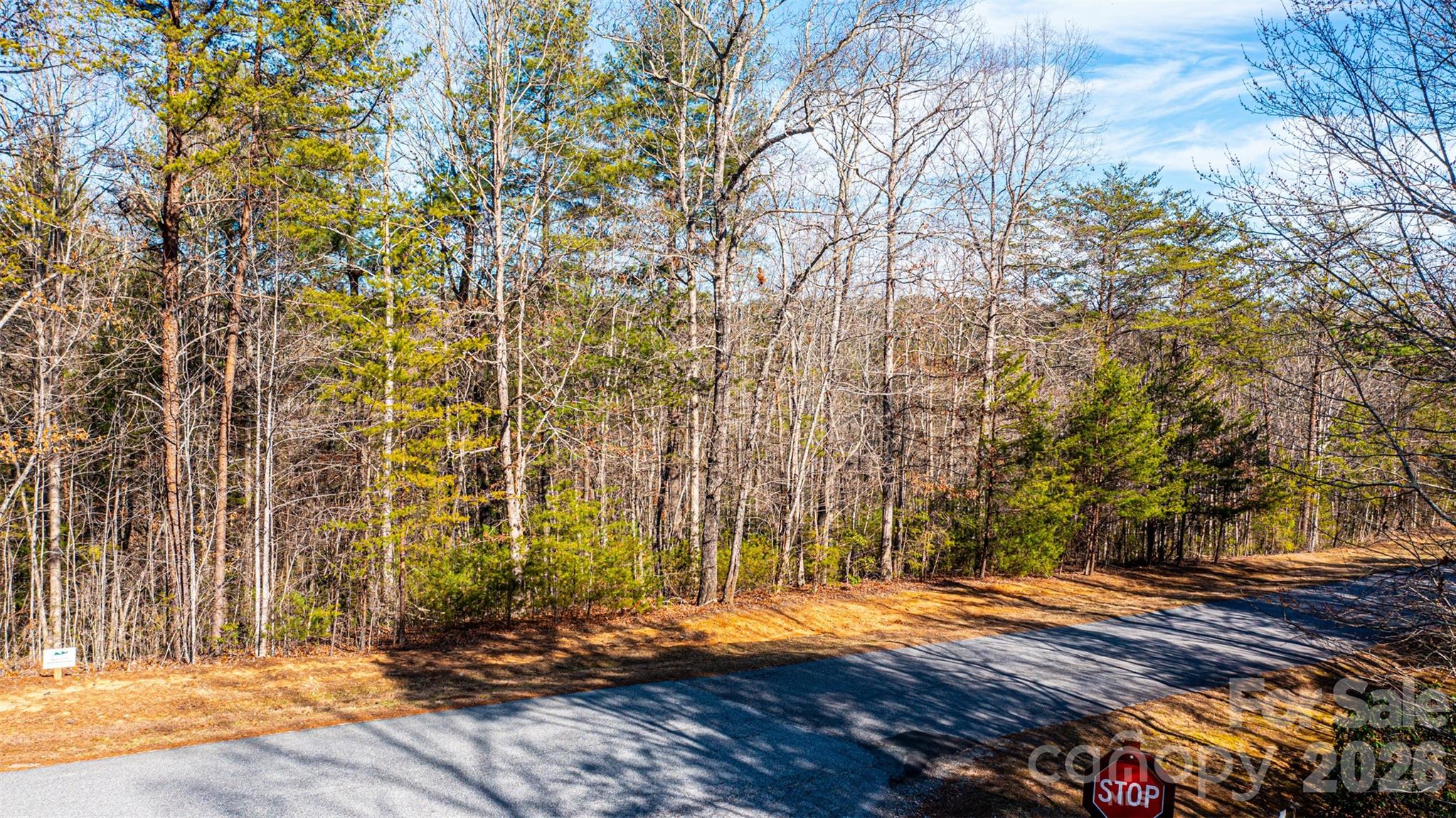 4420 Walnut Ridge Drive Lenoir, NC 28645 - Photo 7 of 32