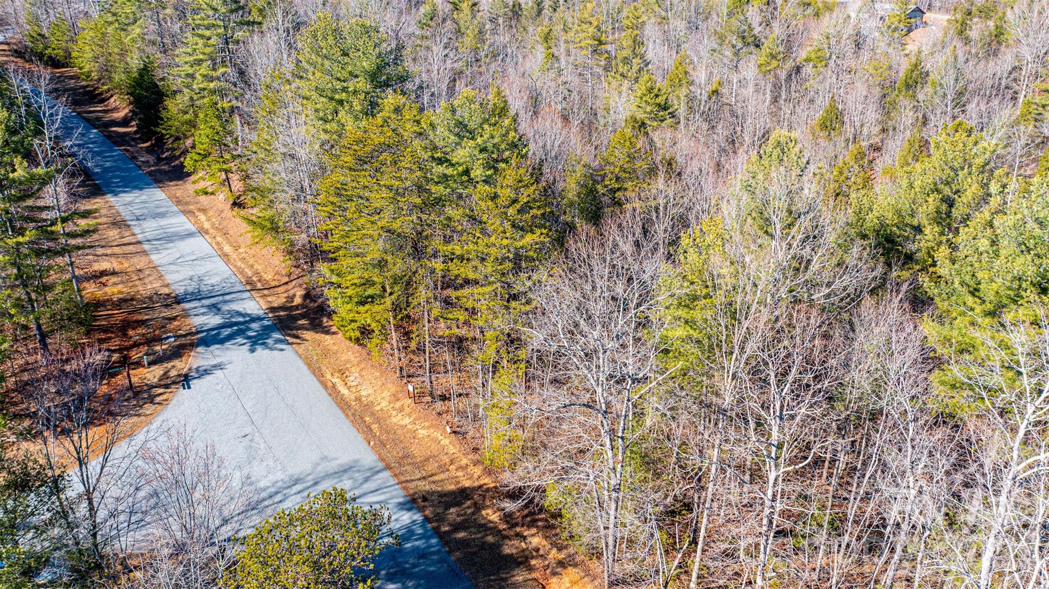 4420 Walnut Ridge Drive Lenoir, NC 28645 - Photo 9 of 32