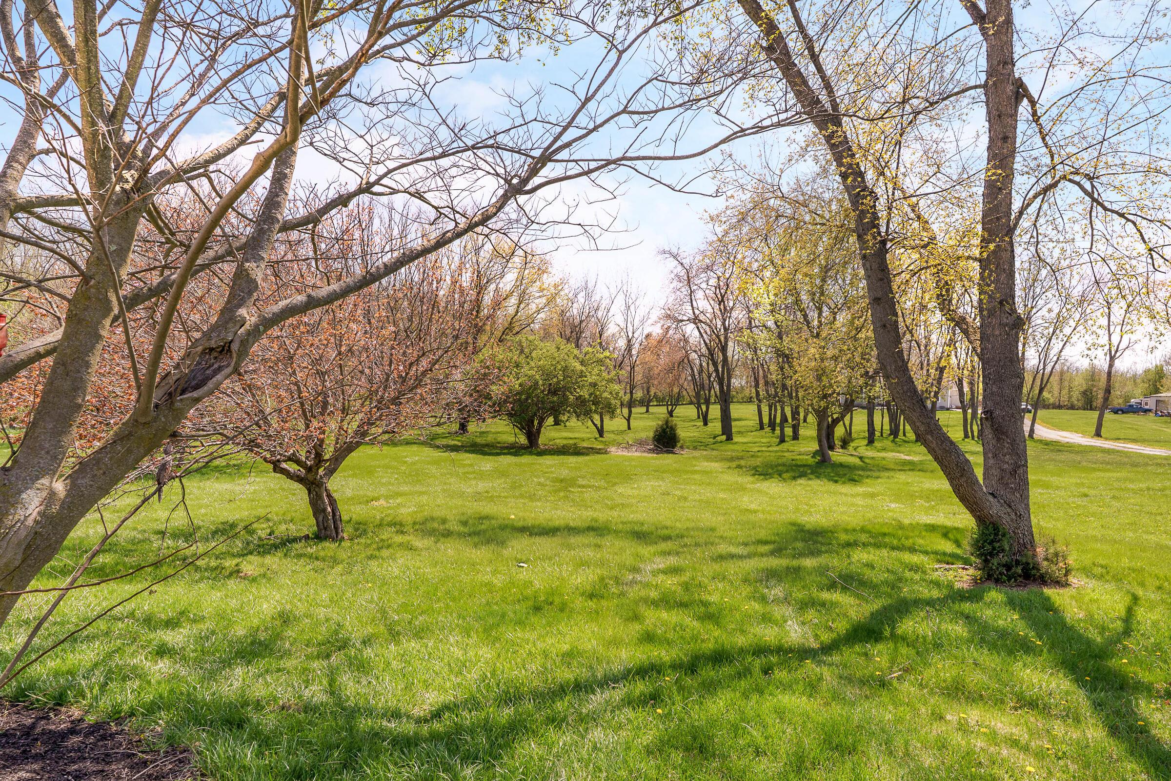 1203 Hiner Road Orient, OH 43146 - Photo 40 of 48 Backyard
