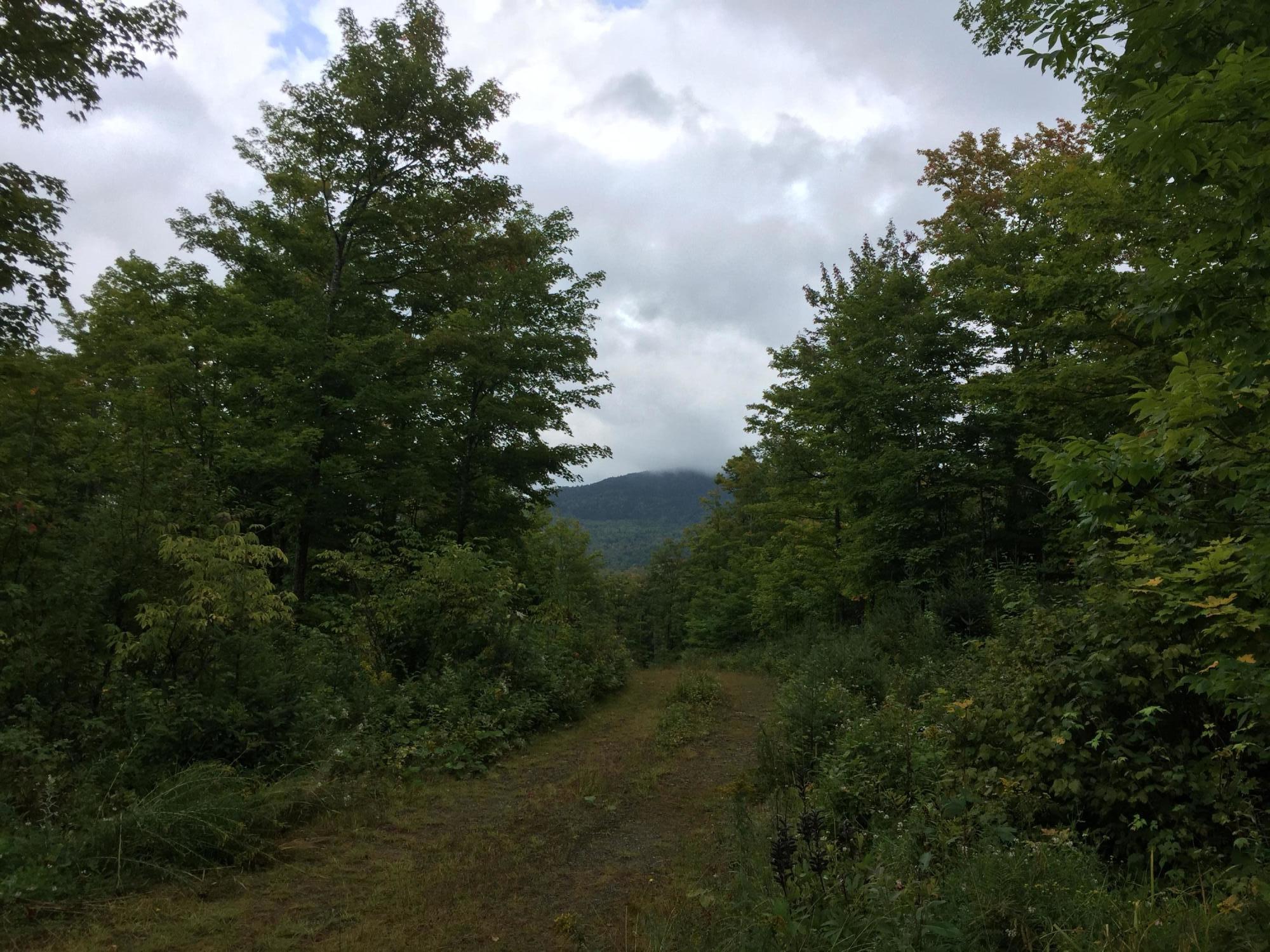 Lot 22 No Road Jackman, ME 04945 - Photo 18 of 39 IMG_3735