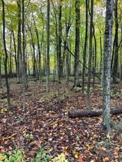East Ridgeview Drive Baileys Harbor, WI 54202 - Photo 3 of 7