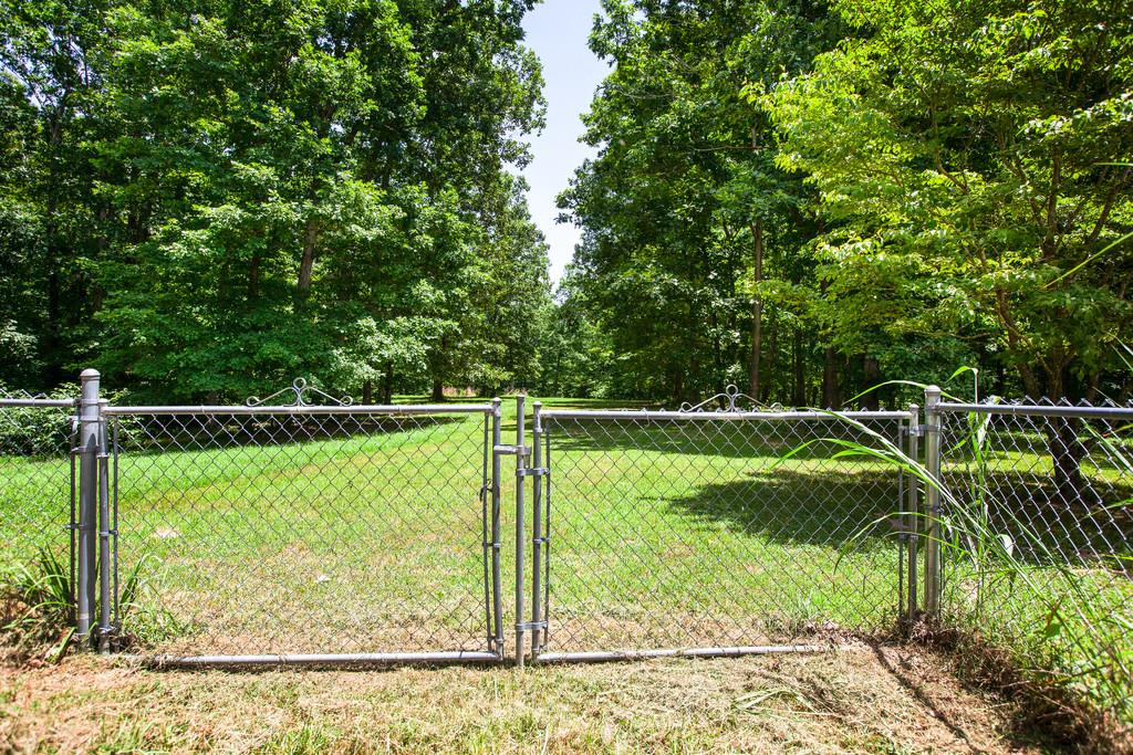 2422 Grays Bend Road Centerville, TN 37033 - Photo 27 of 30 Fabulous back yard! Plenty of space to play and enjoy nature.