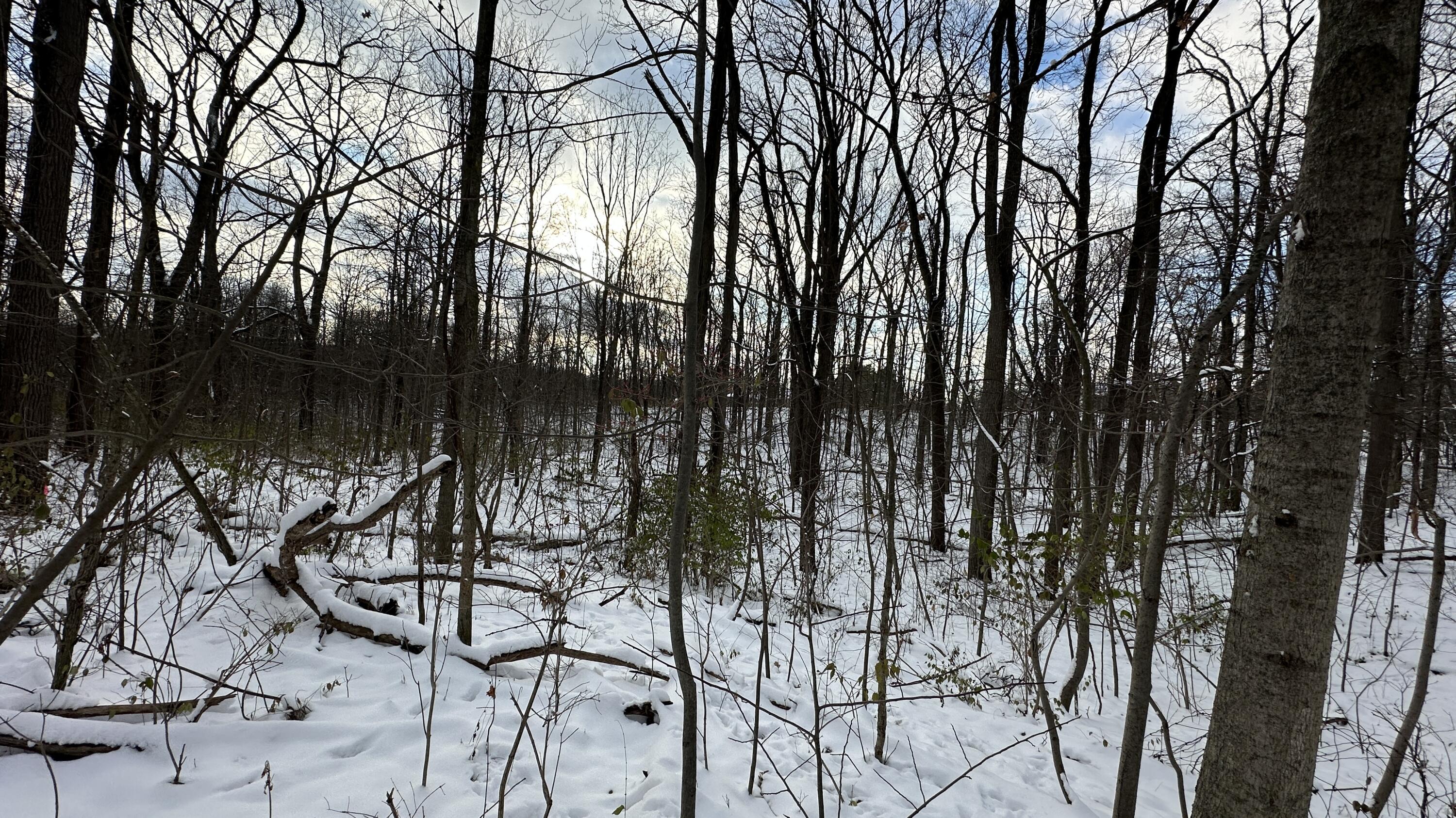 2770 South Wagner Road Ann Arbor, MI 48103 - Photo 101 of 103 IMG_2992