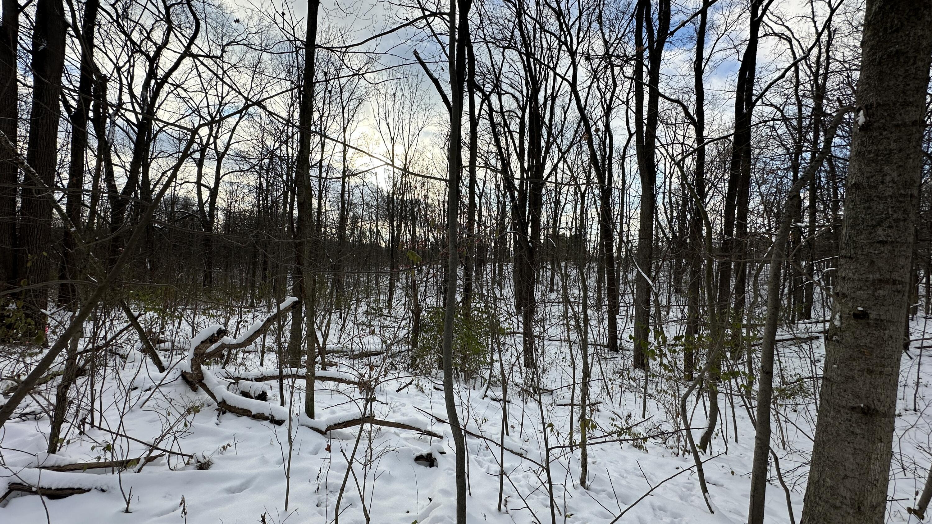 2770 South Wagner Road Ann Arbor, MI 48103 - Photo 102 of 103 IMG_2995