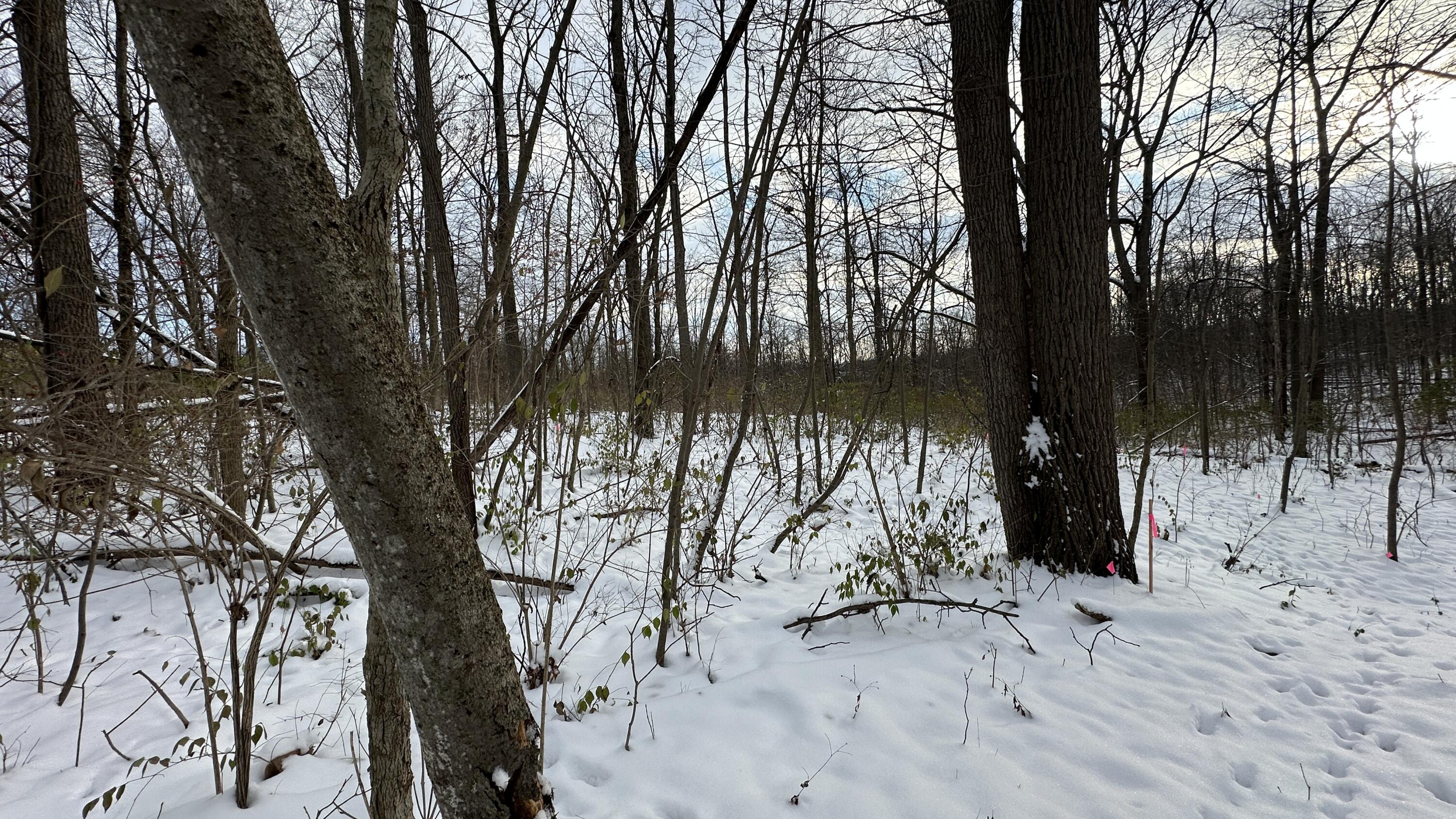 2770 South Wagner Road Ann Arbor, MI 48103 - Photo 103 of 103 IMG_2998