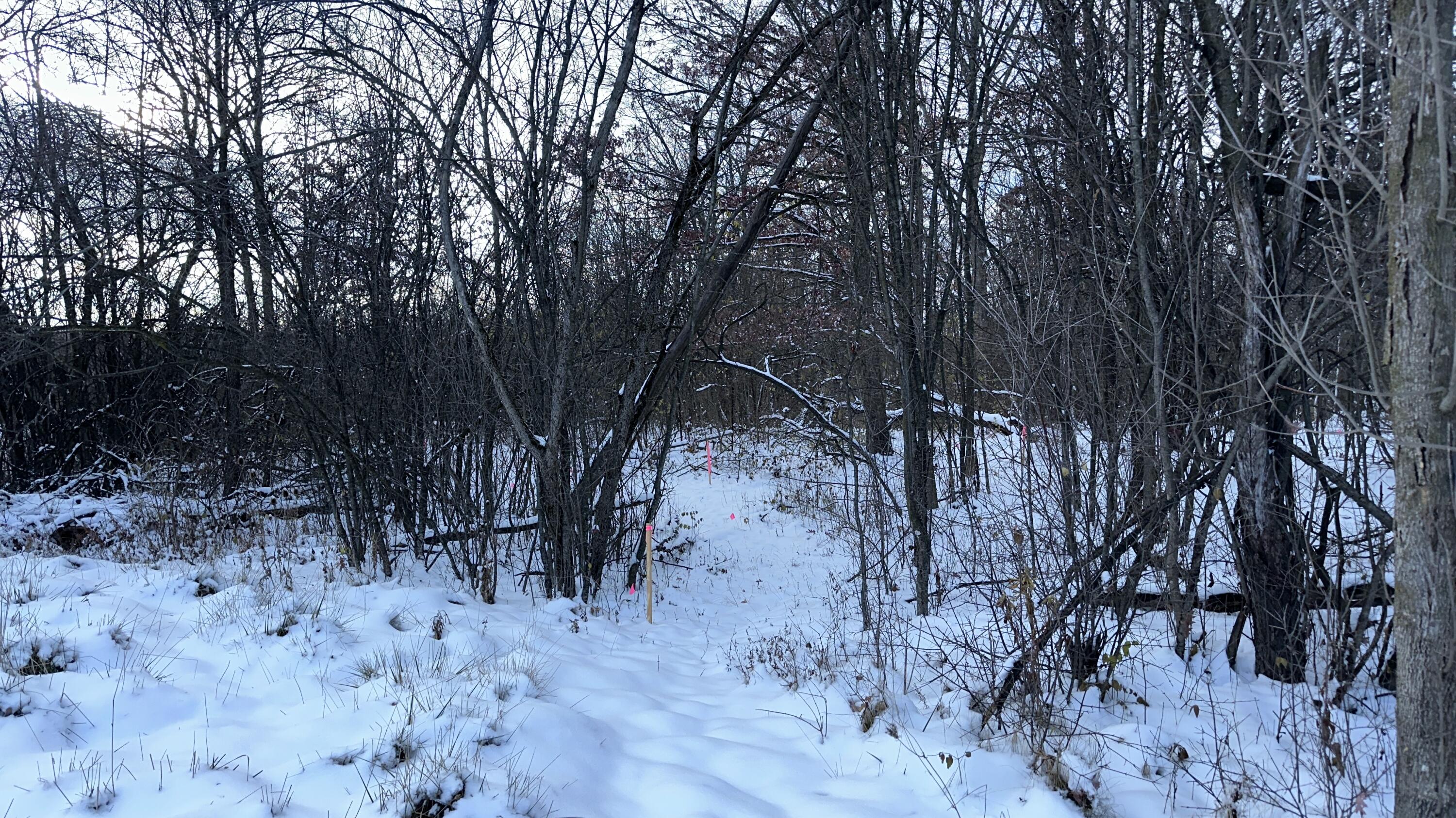 2770 South Wagner Road Ann Arbor, MI 48103 - Photo 45 of 103 Path to west