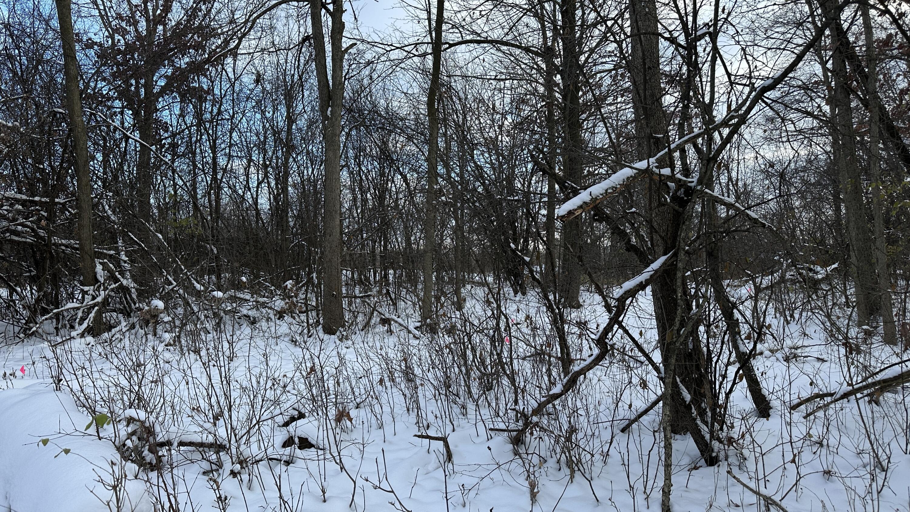 2770 South Wagner Road Ann Arbor, MI 48103 - Photo 51 of 103 Path east