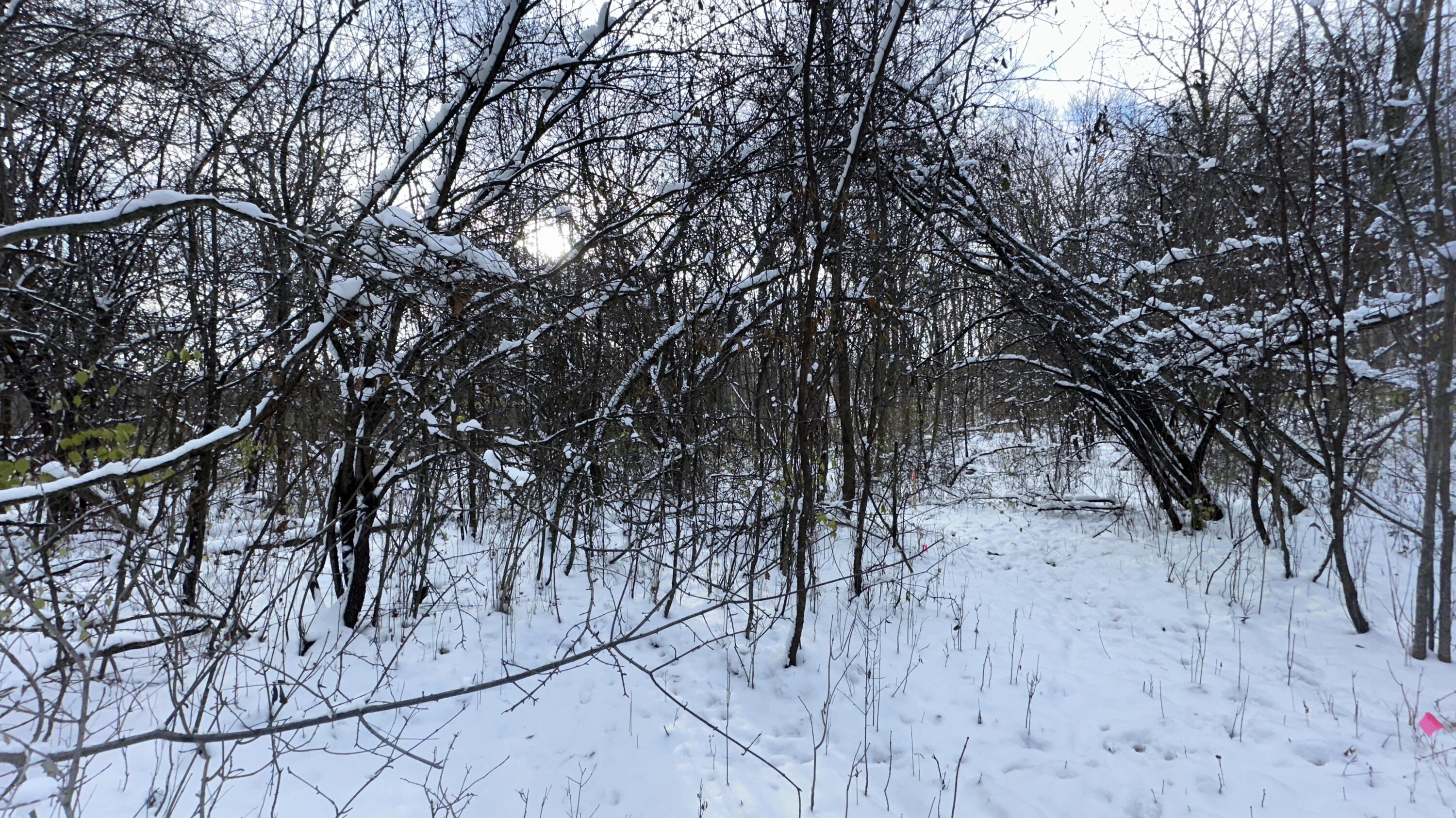 2770 South Wagner Road Ann Arbor, MI 48103 - Photo 55 of 103 Path west h