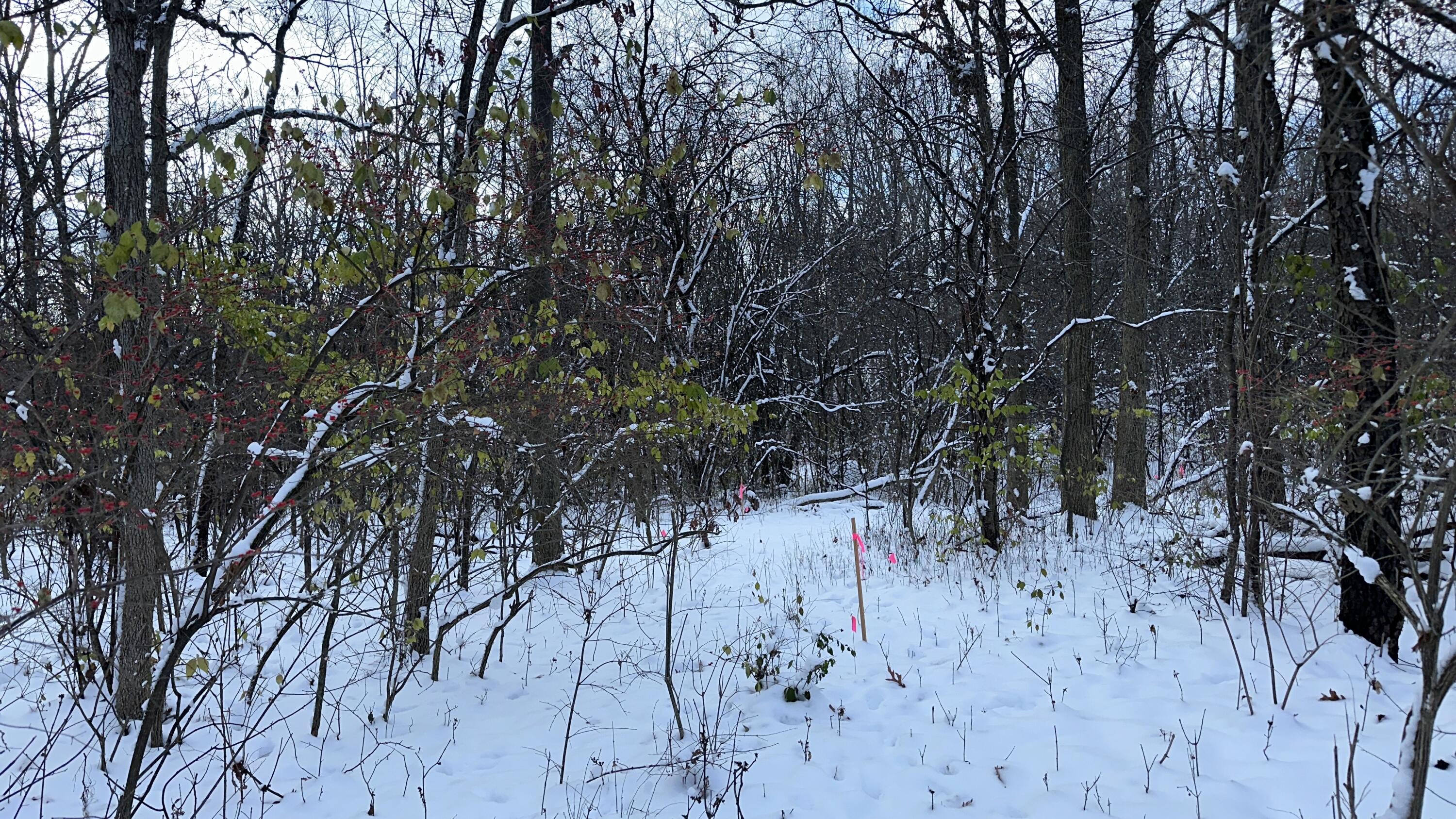 2770 South Wagner Road Ann Arbor, MI 48103 - Photo 56 of 103 Path west b