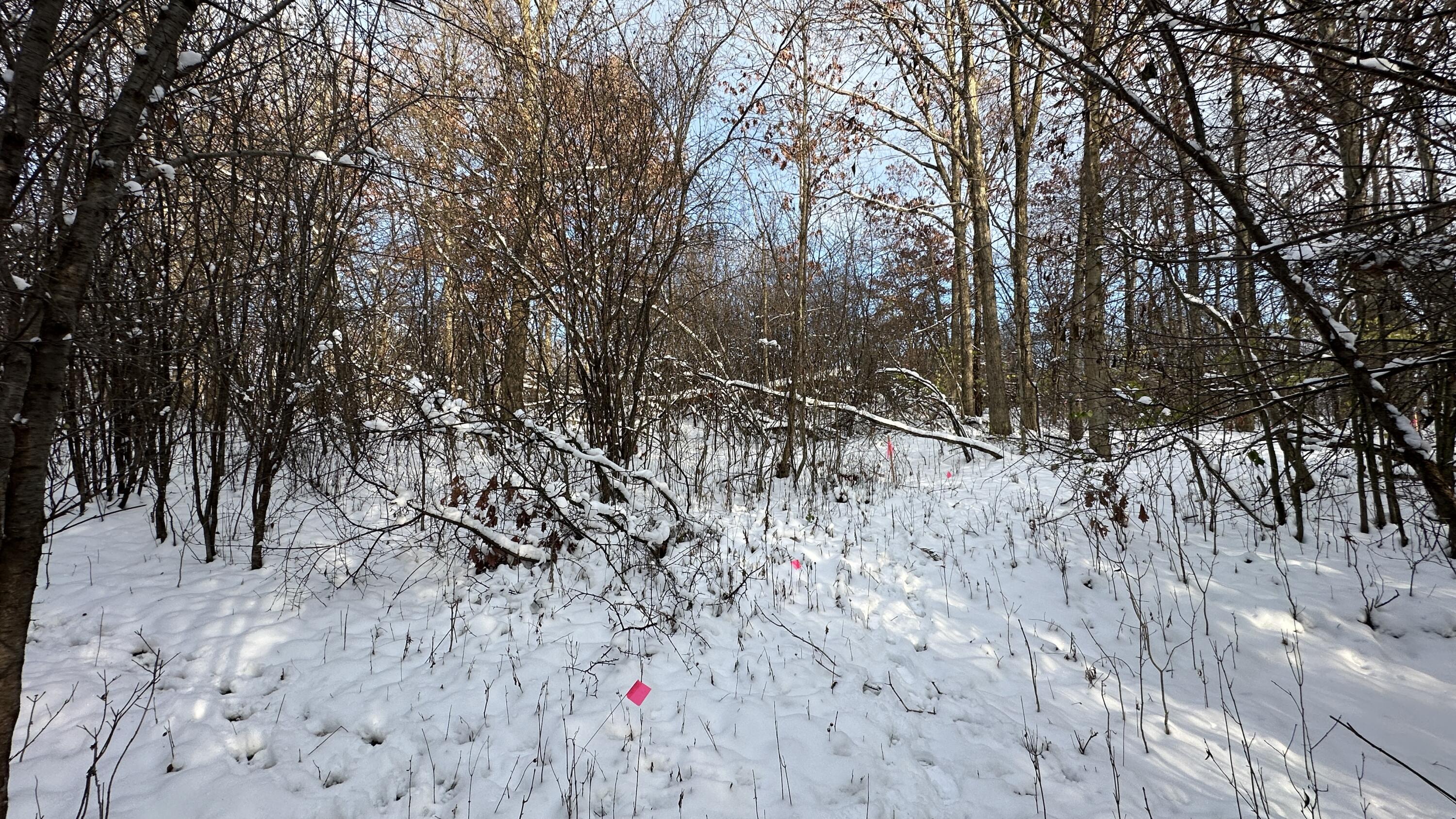 2770 South Wagner Road Ann Arbor, MI 48103 - Photo 62 of 103 Path east d