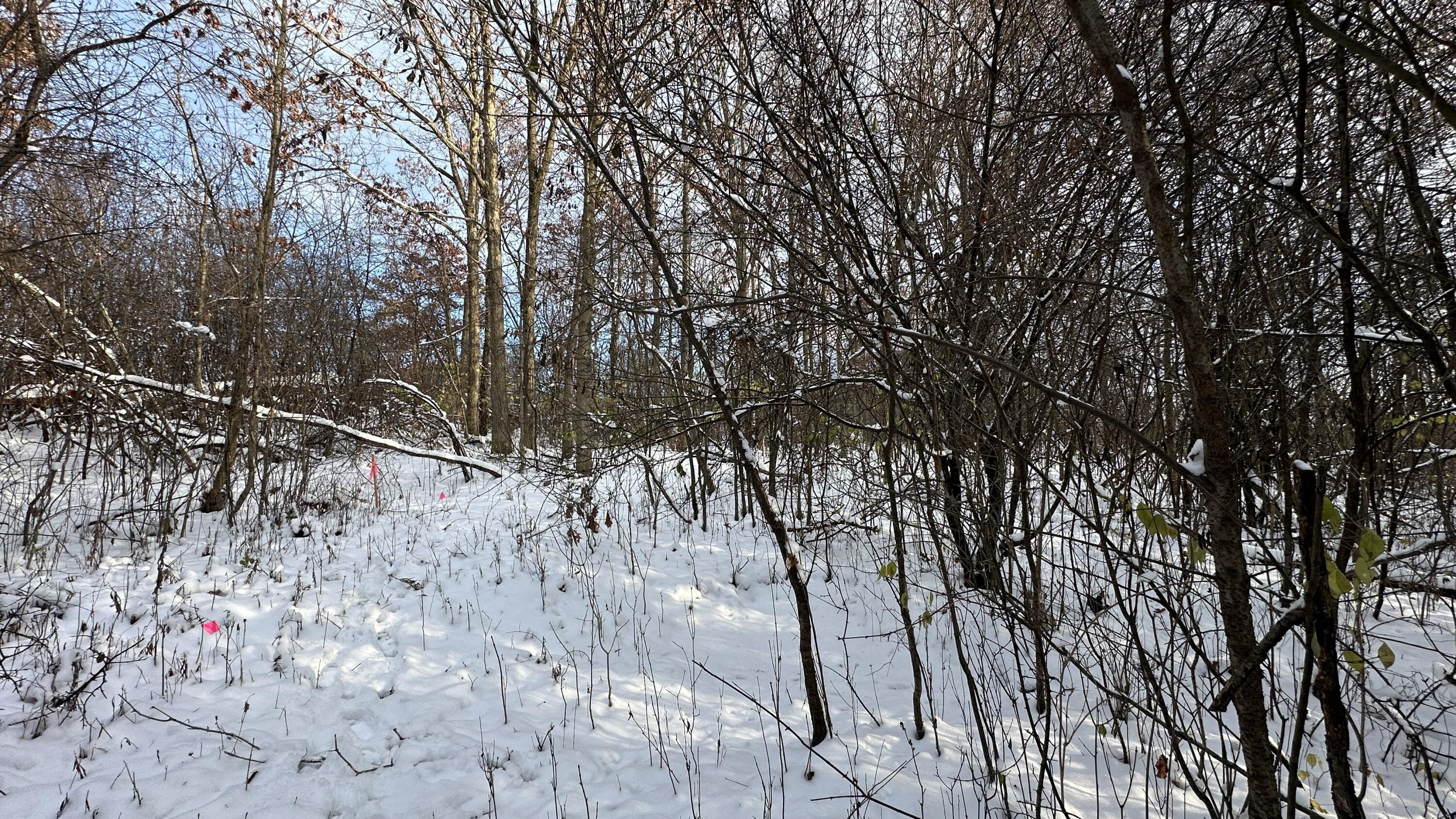 2770 South Wagner Road Ann Arbor, MI 48103 - Photo 63 of 103 Path east e