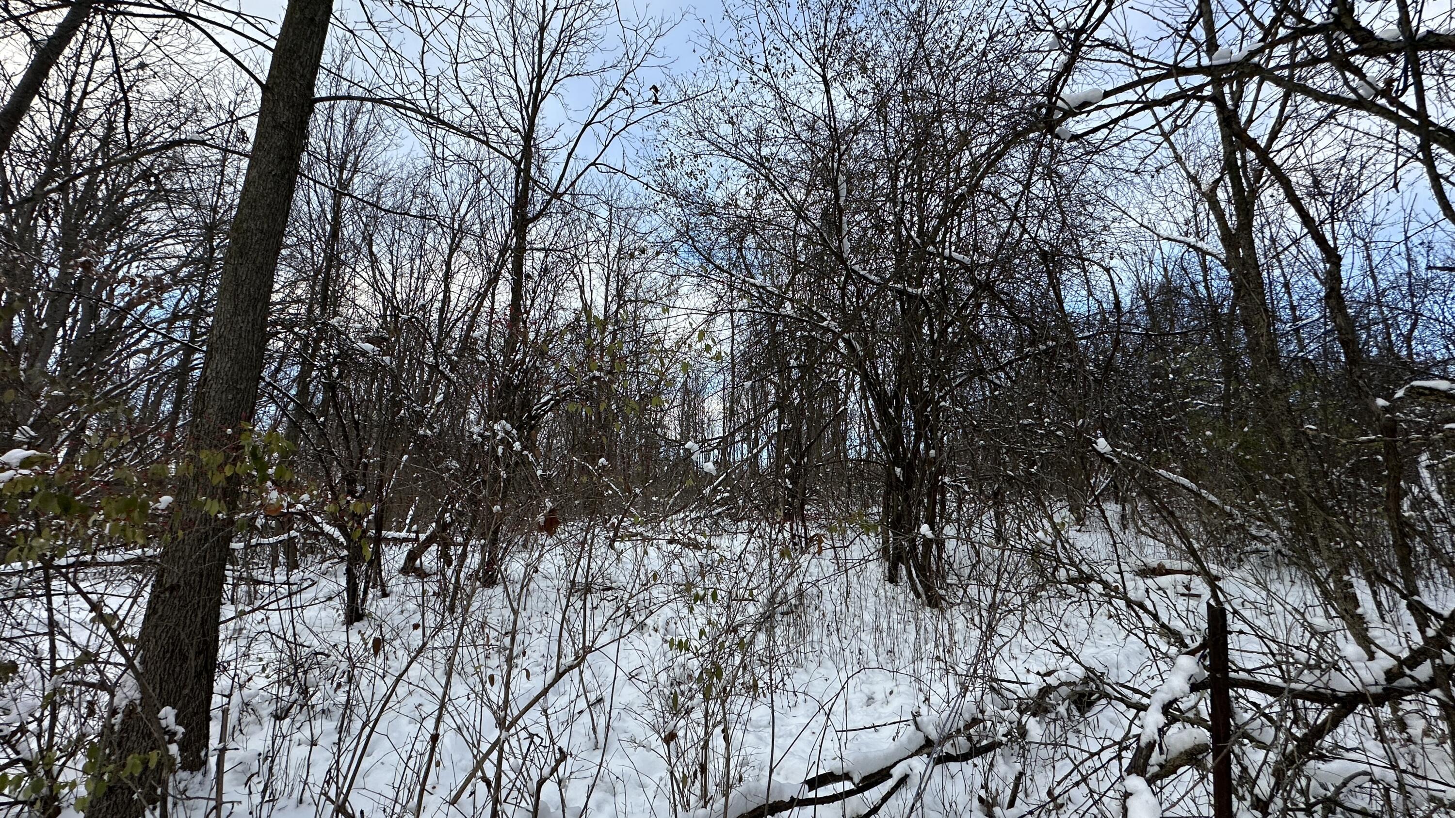 2770 South Wagner Road Ann Arbor, MI 48103 - Photo 65 of 103 Path east from west g