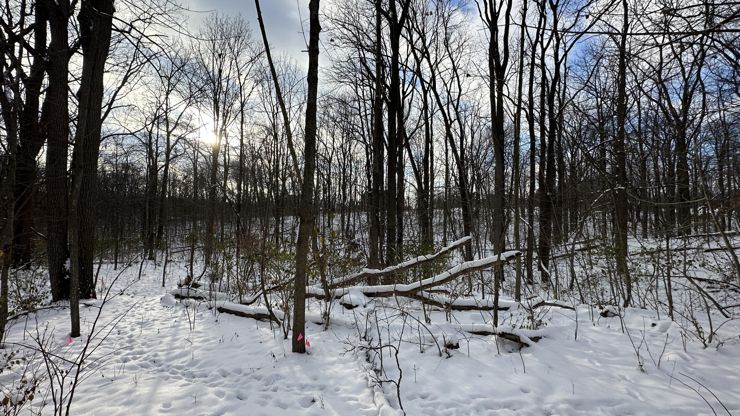2770 South Wagner Road Ann Arbor, MI 48103 - Photo 72 of 103 Path west back lot