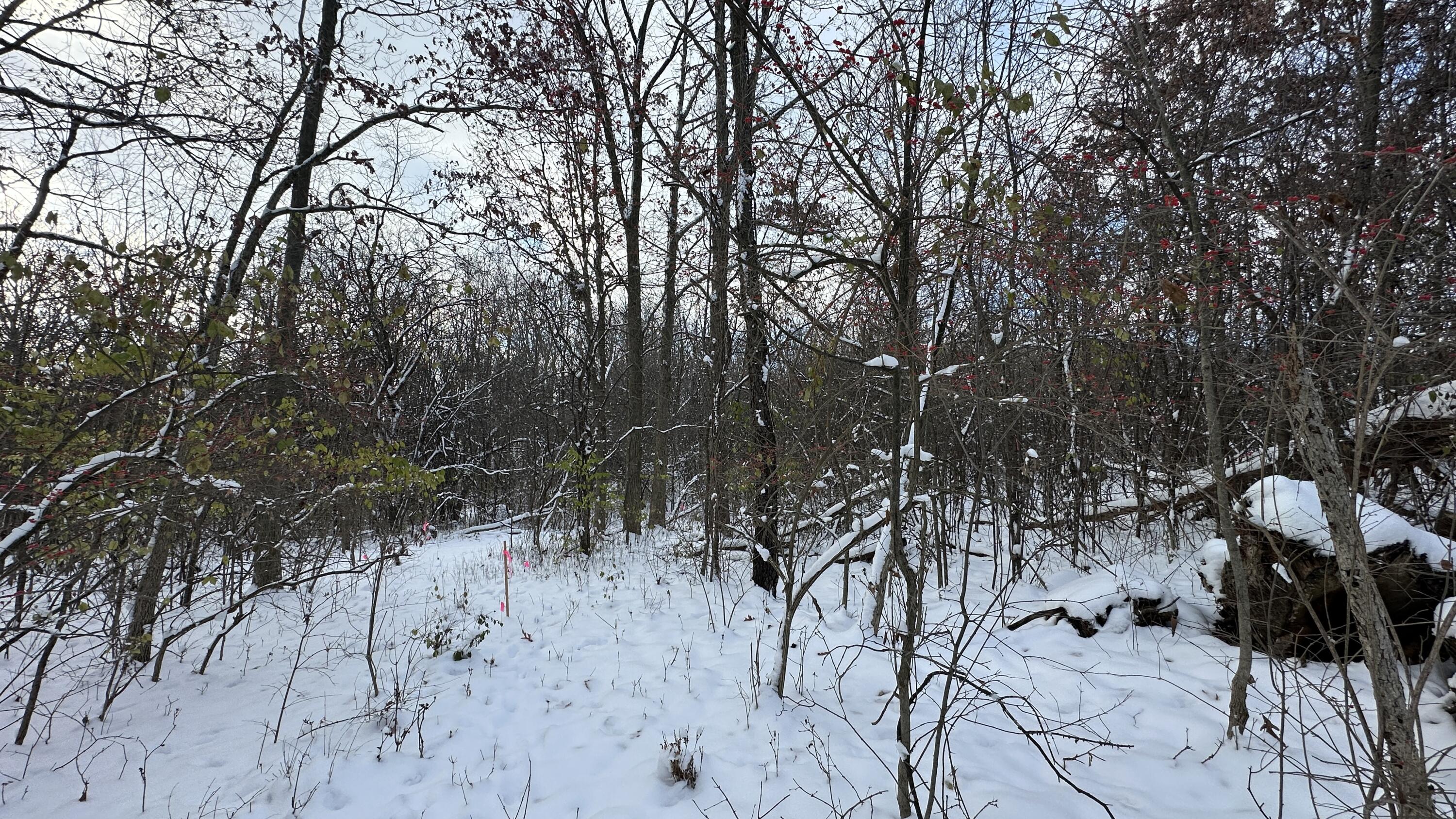 2770 South Wagner Road Ann Arbor, MI 48103 - Photo 73 of 103 Path west e