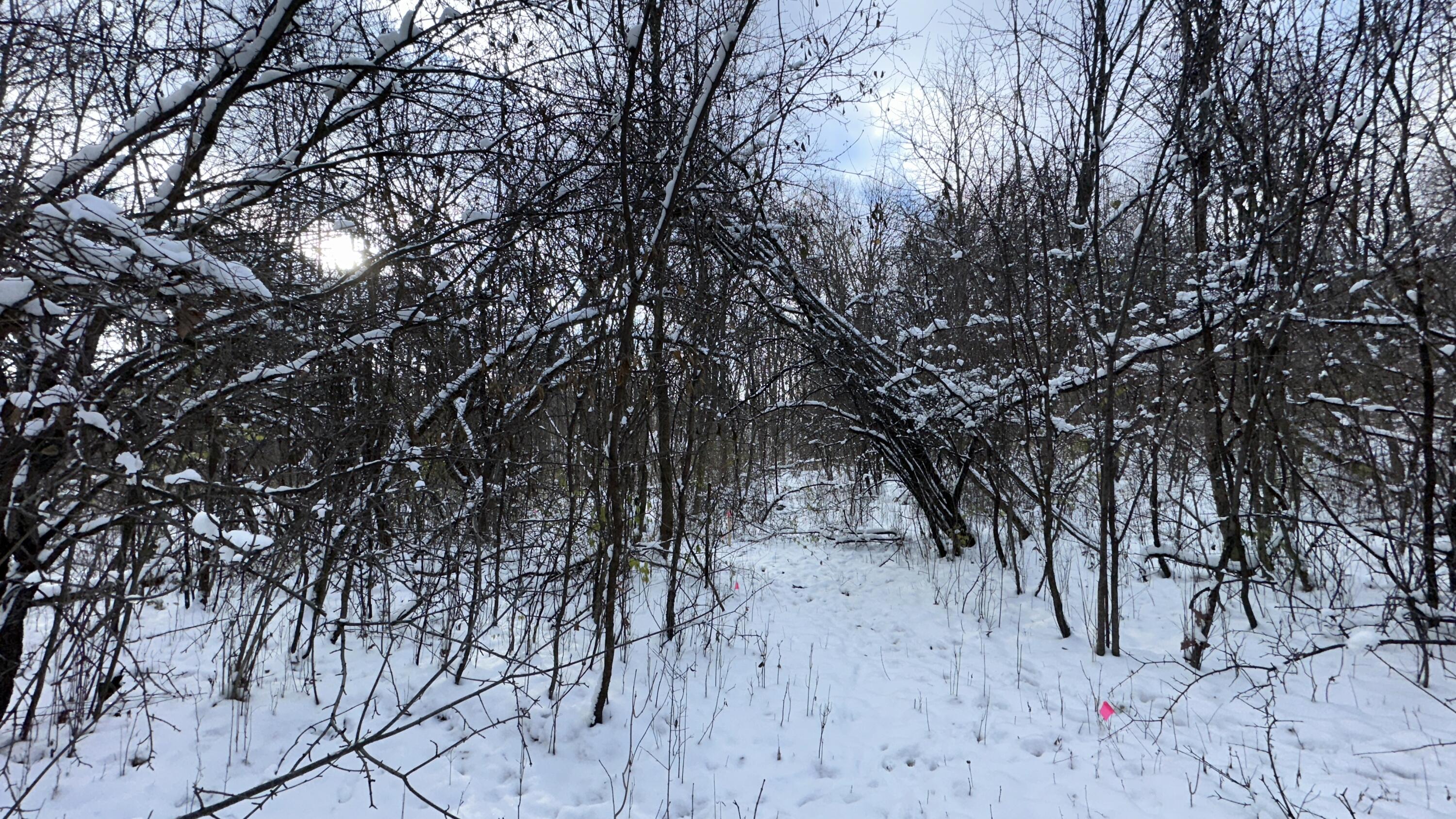 2770 South Wagner Road Ann Arbor, MI 48103 - Photo 74 of 103 Path west g