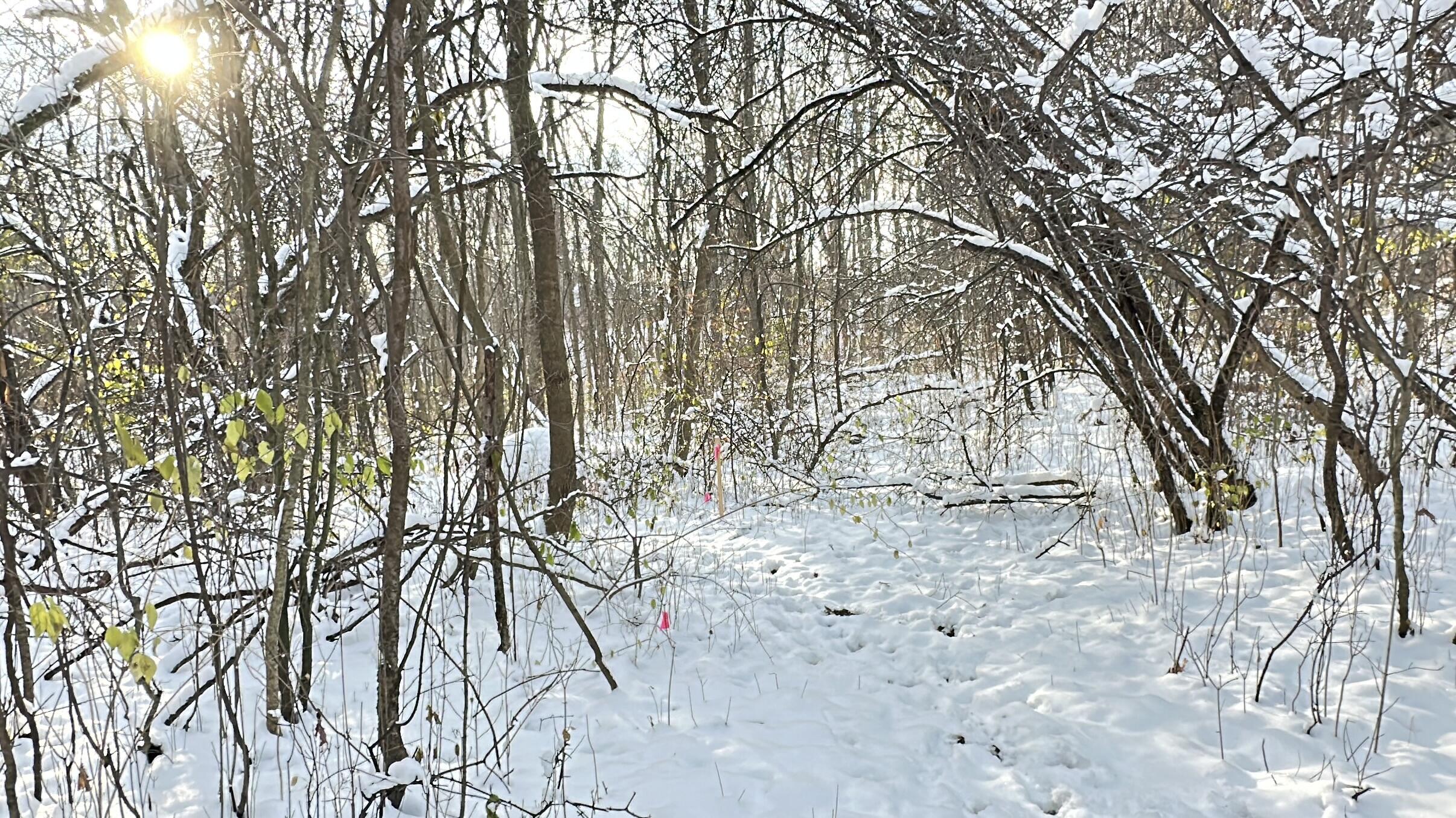 2770 South Wagner Road Ann Arbor, MI 48103 - Photo 75 of 103 path west i