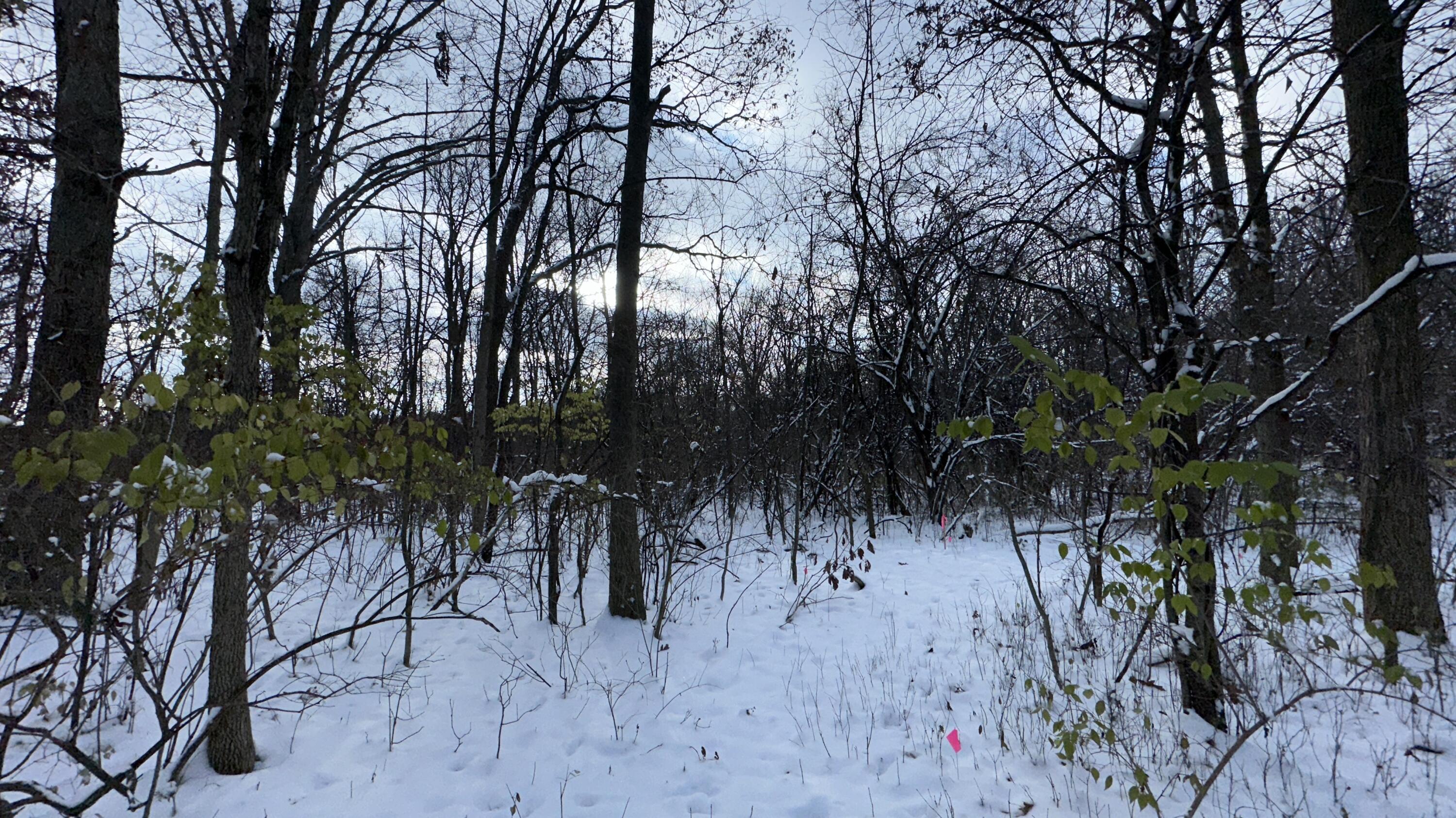 2770 South Wagner Road Ann Arbor, MI 48103 - Photo 76 of 103 Path west f