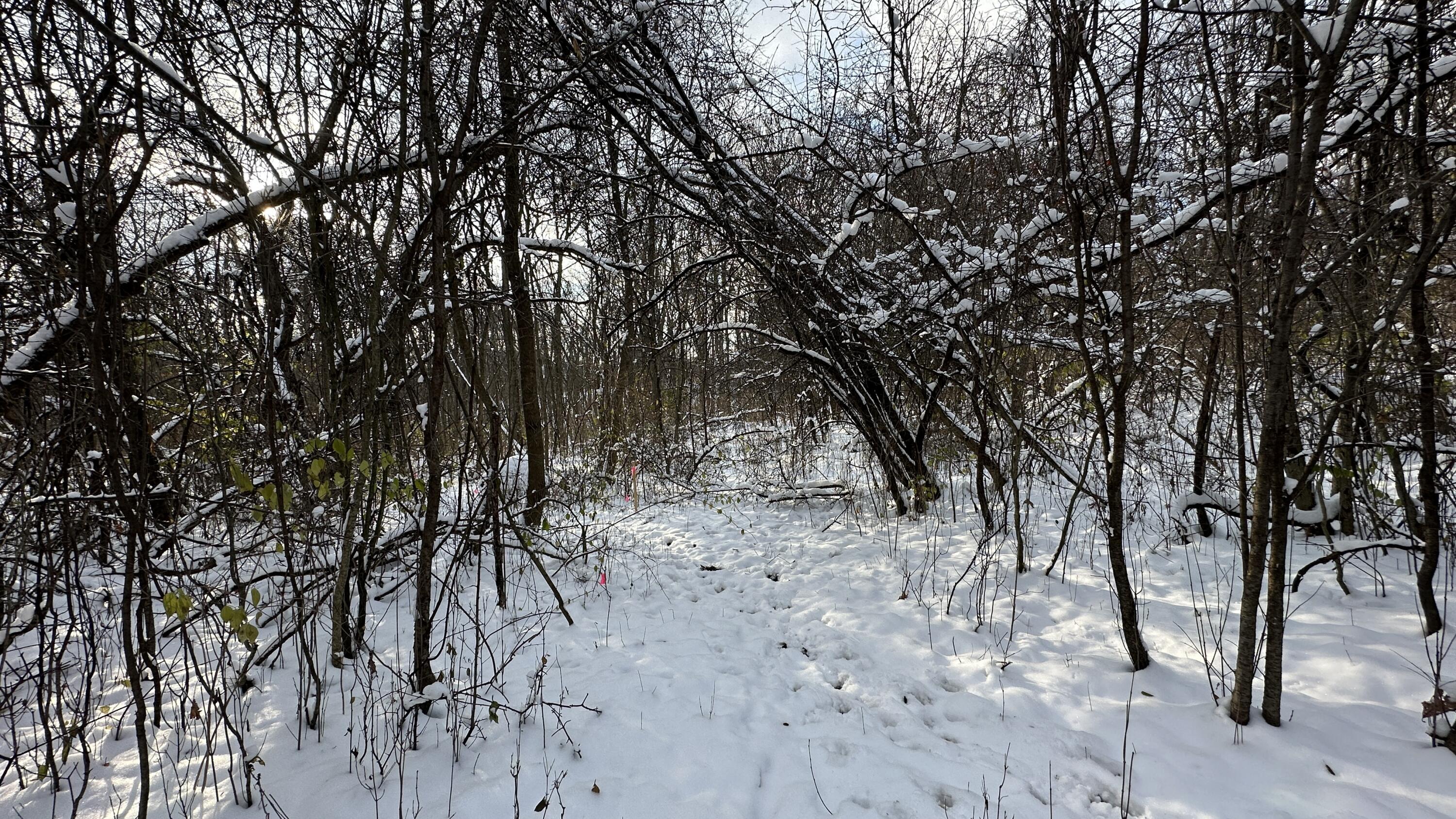 2770 South Wagner Road Ann Arbor, MI 48103 - Photo 77 of 103 path west k