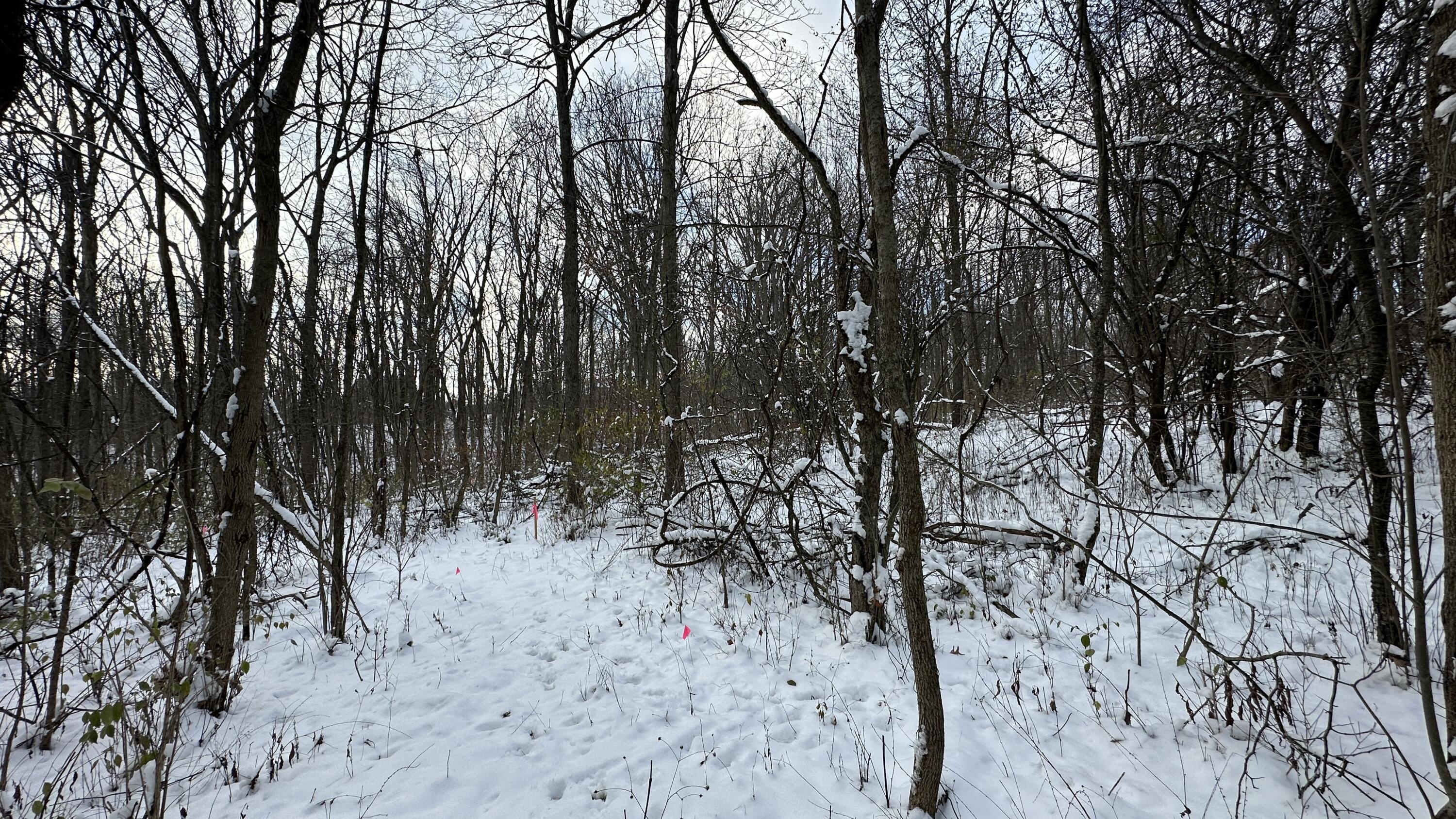 2770 South Wagner Road Ann Arbor, MI 48103 - Photo 97 of 103 IMG_2974